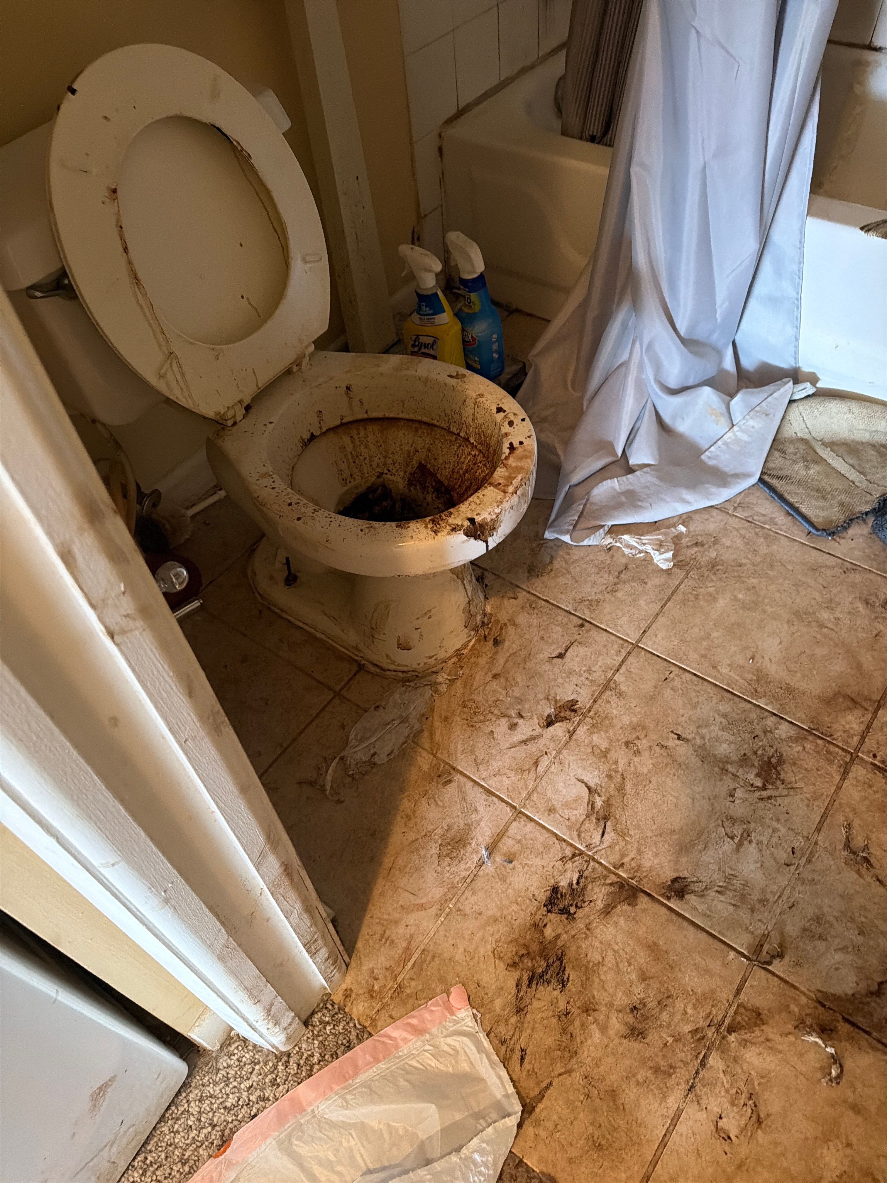 BIO CLEANING by SuperClean 