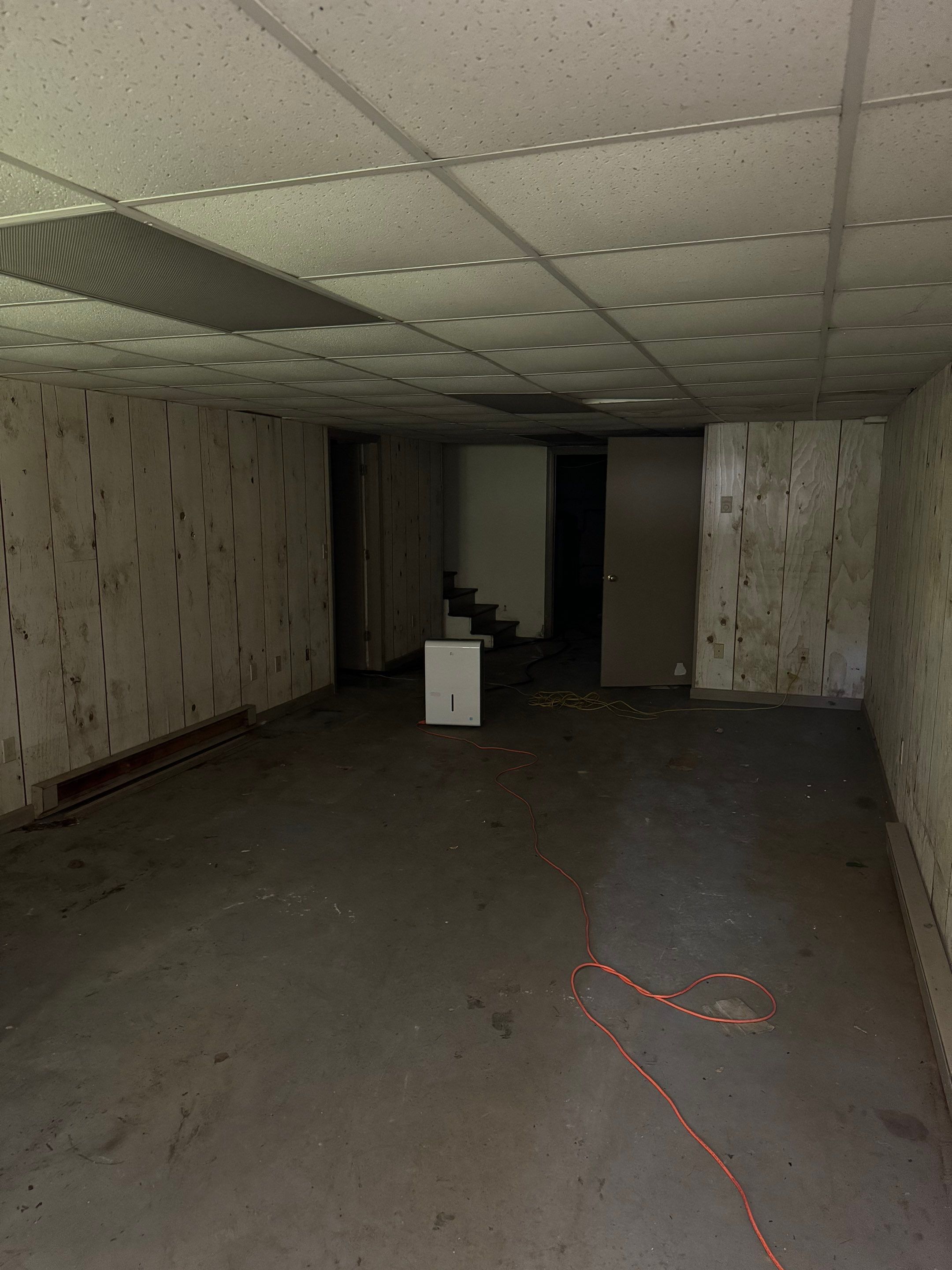 Basement Mold Remediation by Home Guarantee, LLC