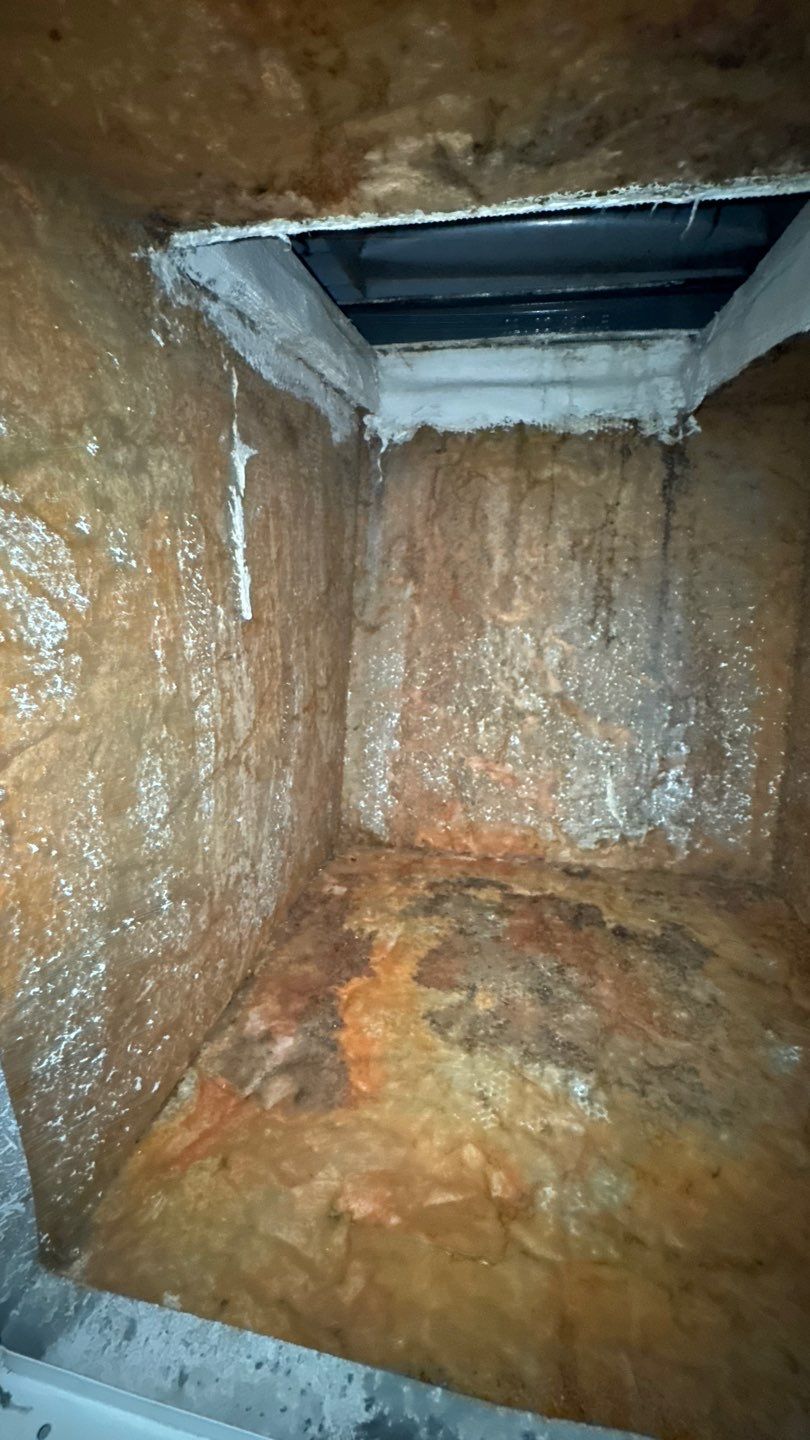 Air Duct and Repairs to Return Box in Groveland by Hygienic Air, Inc