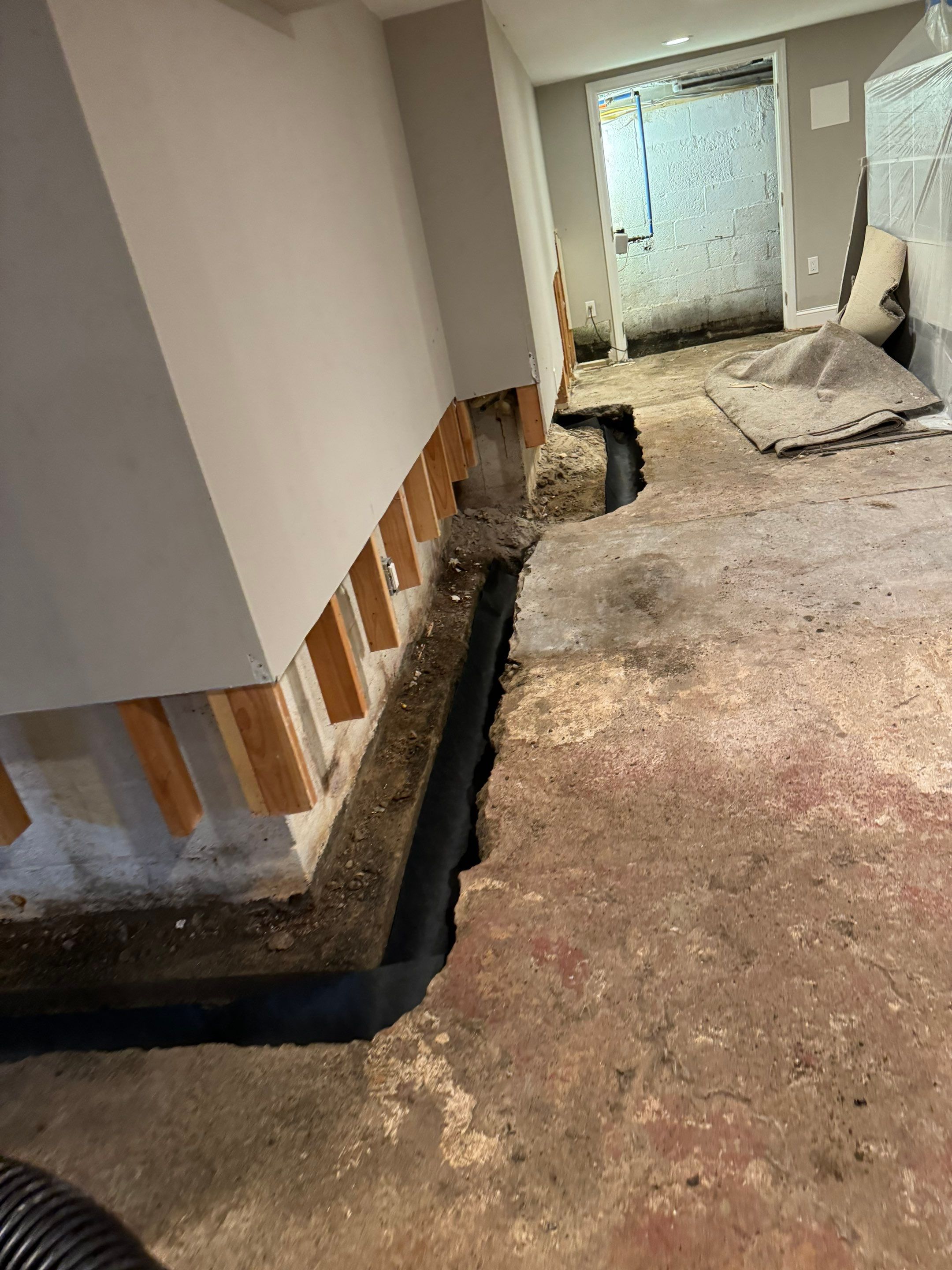 Interior French Drain Livingston NJ by Pure Service Pro, LLC 