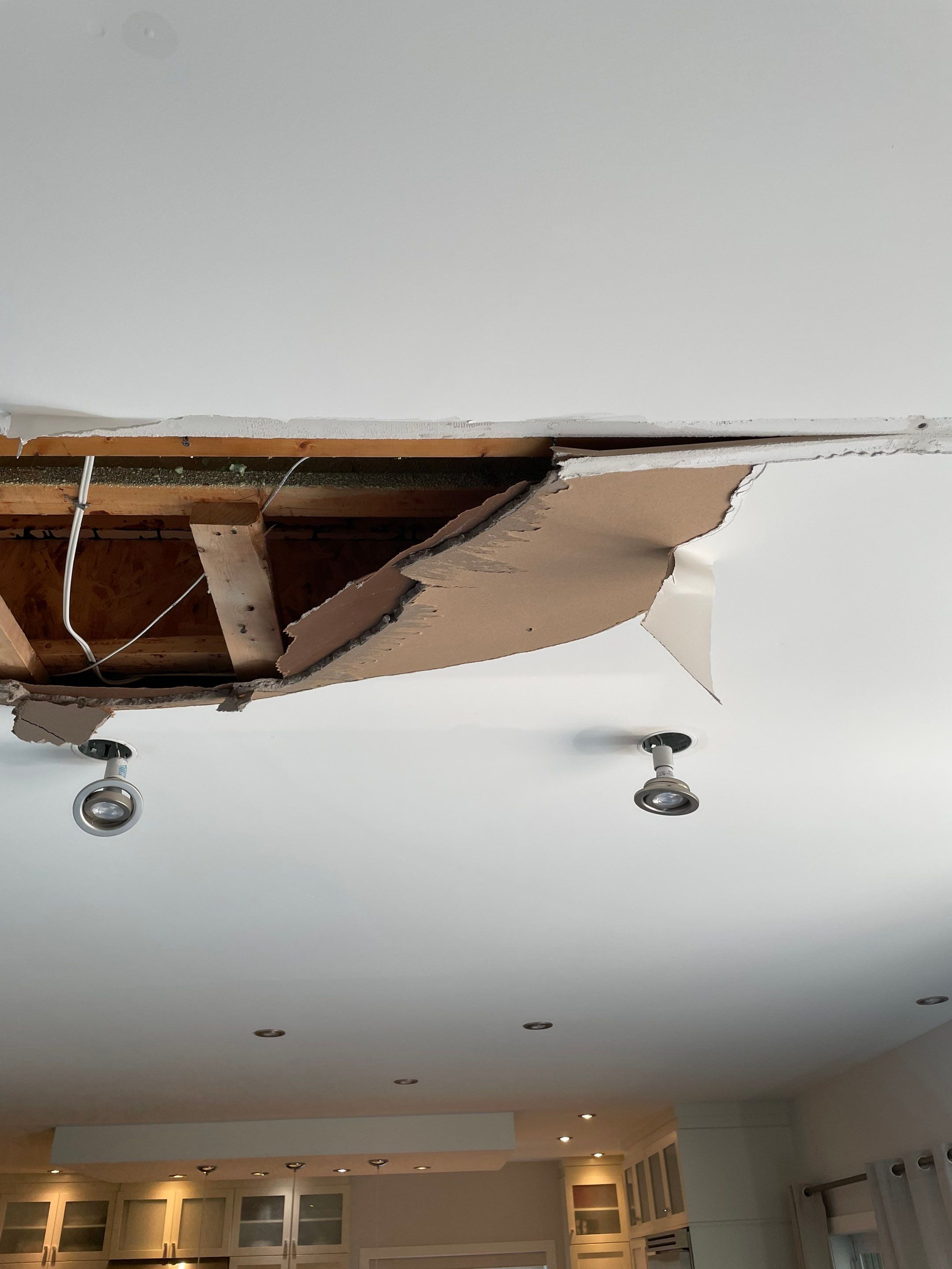 Water damage by Eco-Nature Construction Inc.