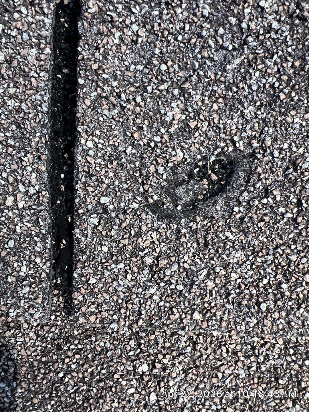 Asphalt Shingle Roof Repair and Maintenance in Greenacres by Aastro Roofing