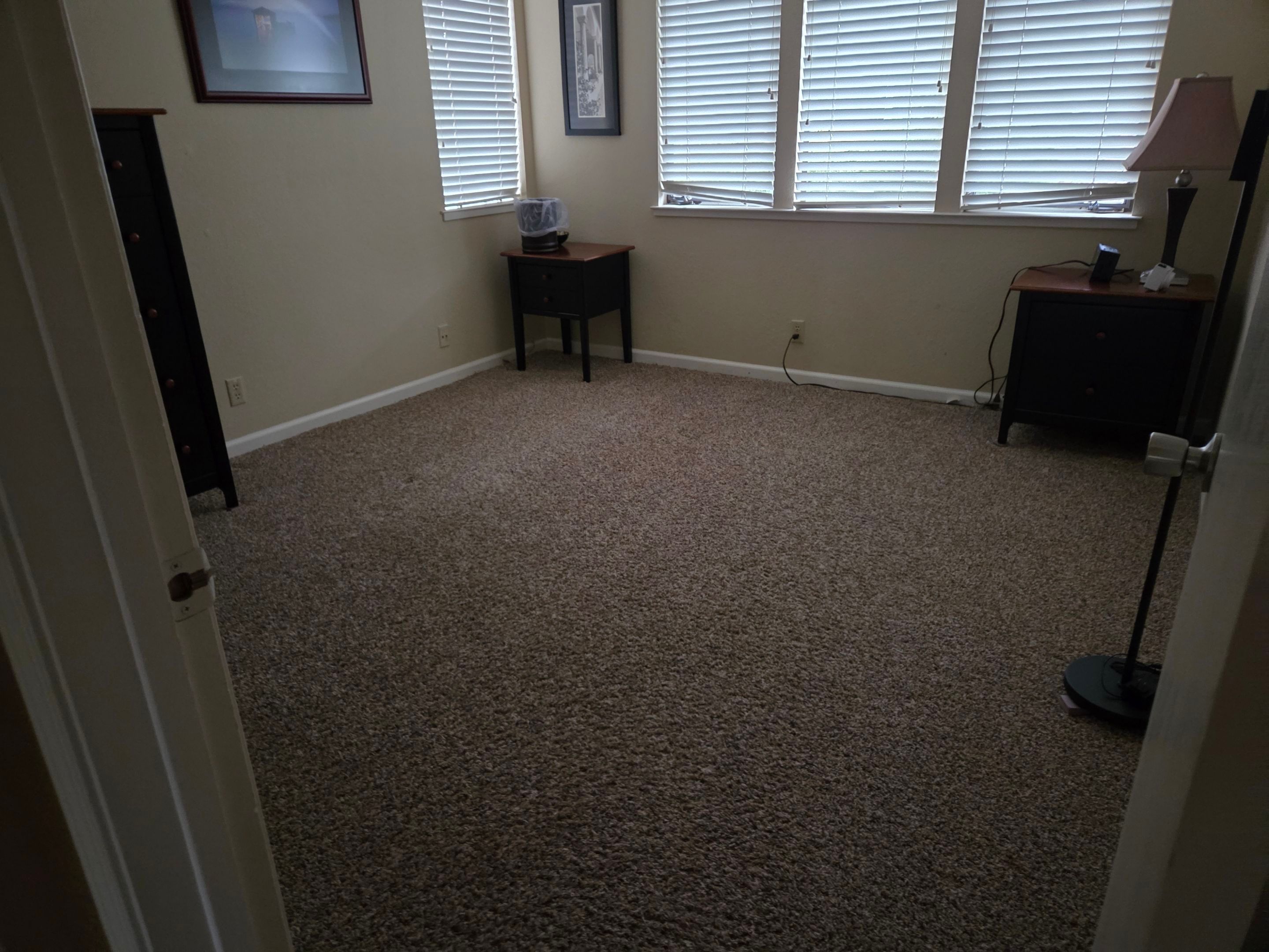 Carpet Cleaning for a House Listing by Ardent Carpet Restore LLC