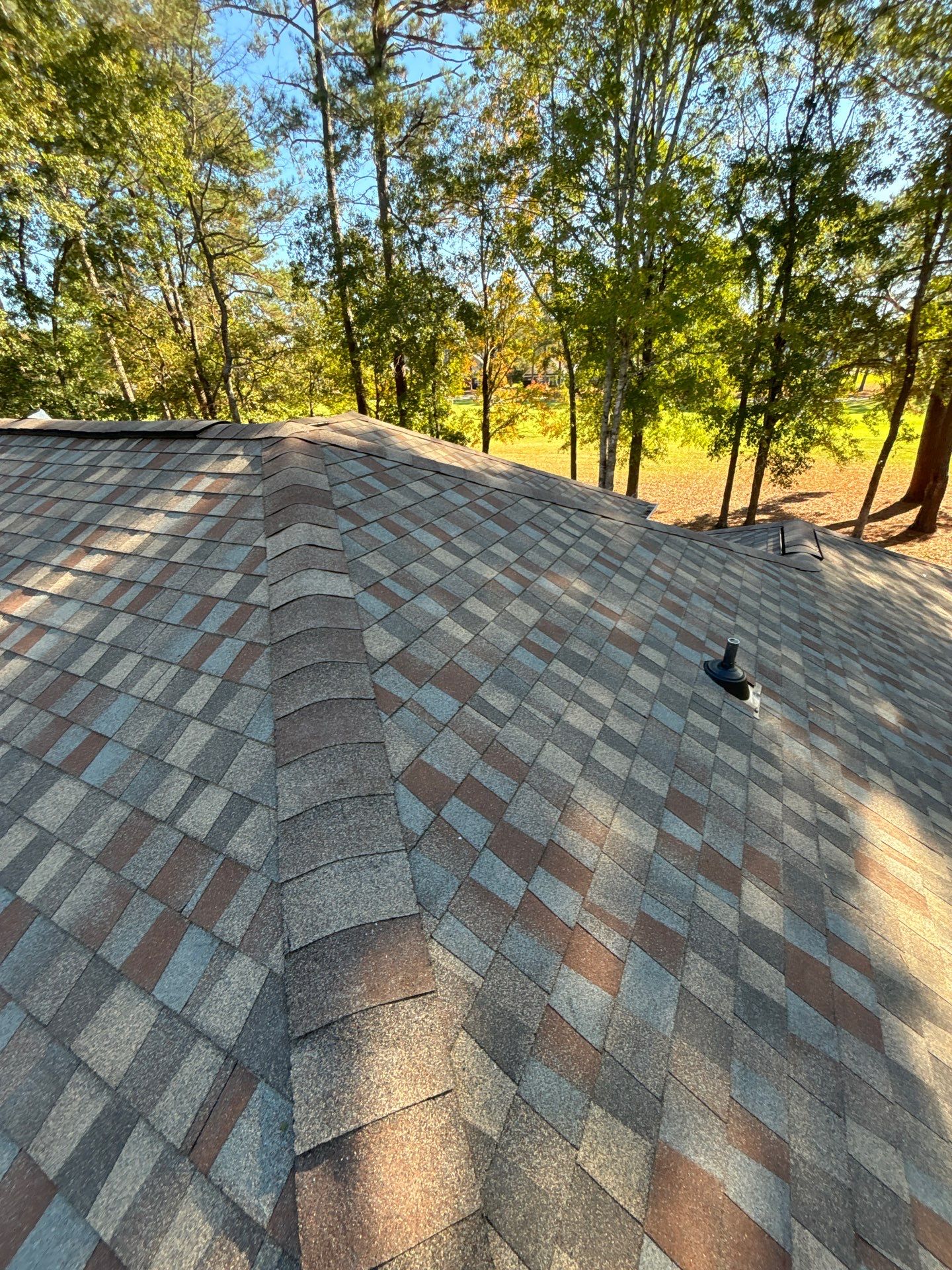 GAF HDZ - Golden Harvest by Linta Roofing