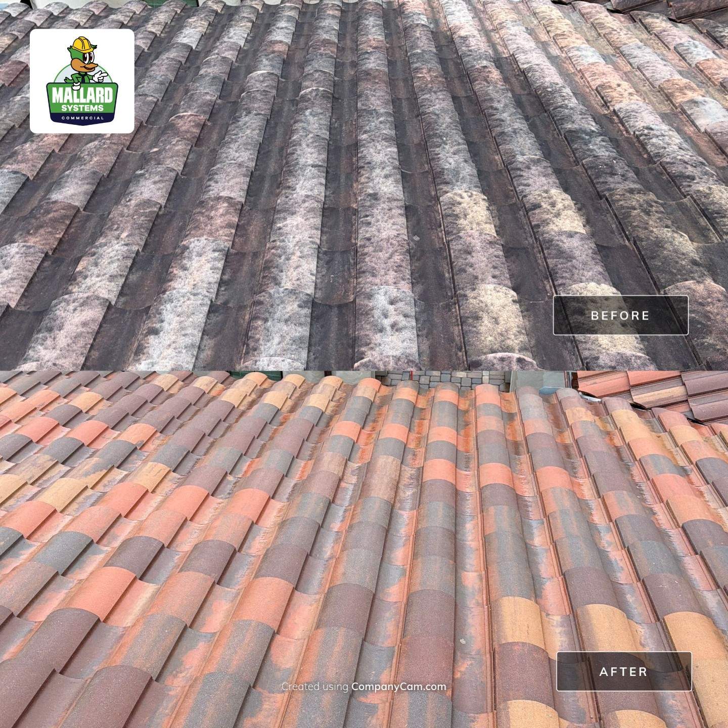 Residential Tile Roof Cleaning in Windermere by Mallard Systems