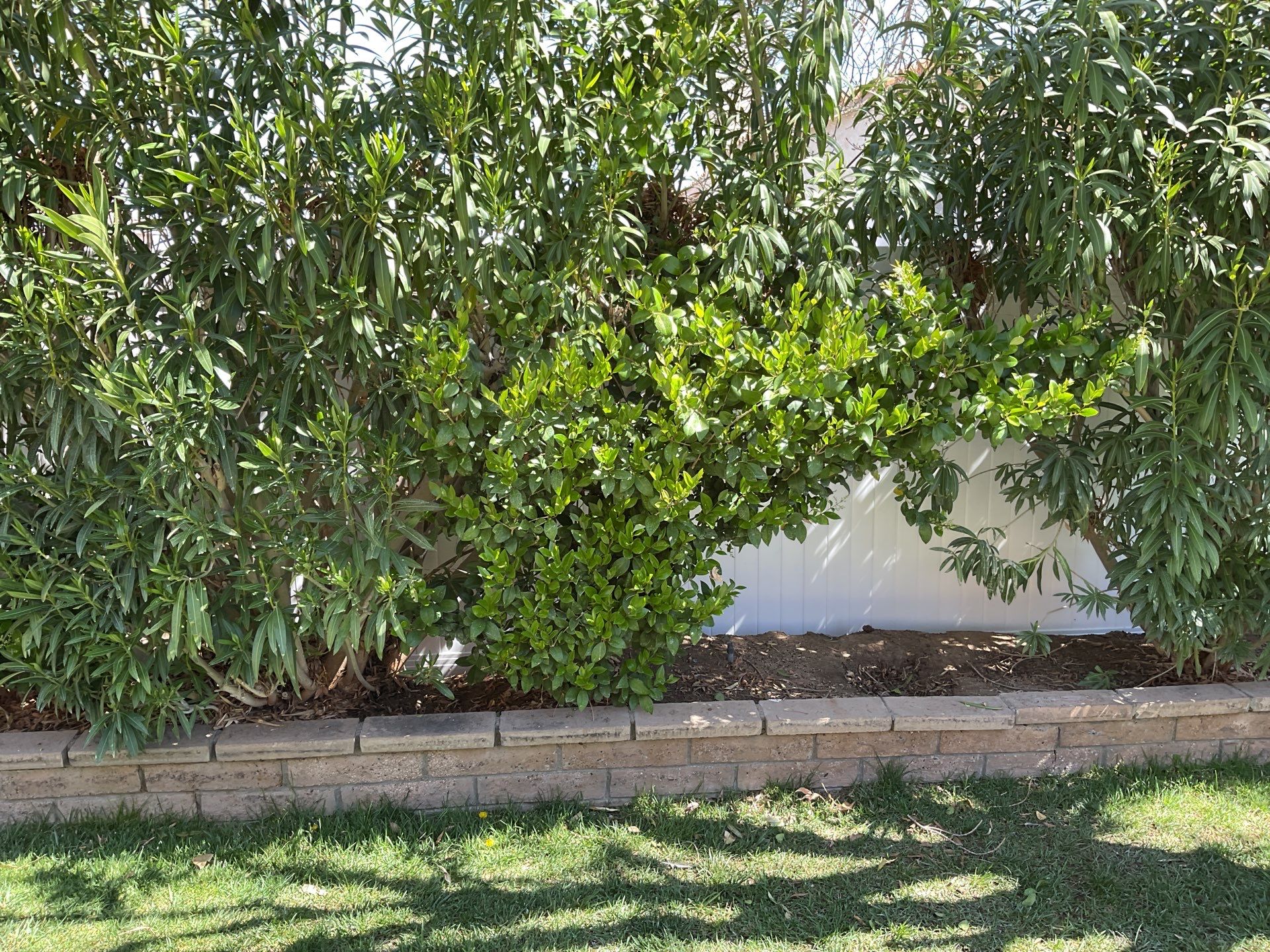 Fence Installation using Vinyl by Fence Guys Inc.