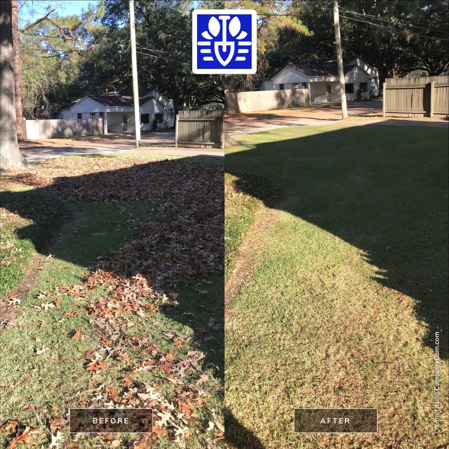 WINTER SERVICES: FULL LEAF JOB by CutScape, LLC.