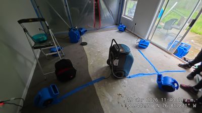 Water Mitigation Project Bowie