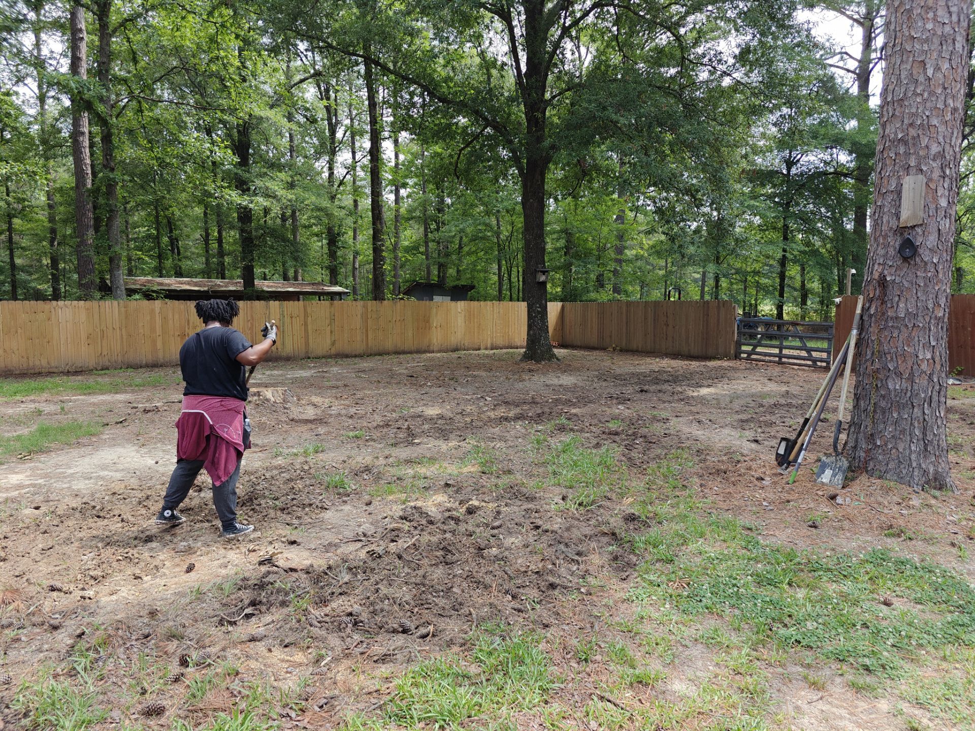 Weekly Landscaping  by College Bros Outdoor services