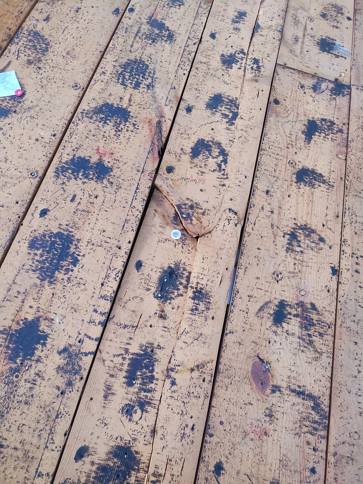 Project in Seminole 33776 by Mitchell Roofing Company LLC 