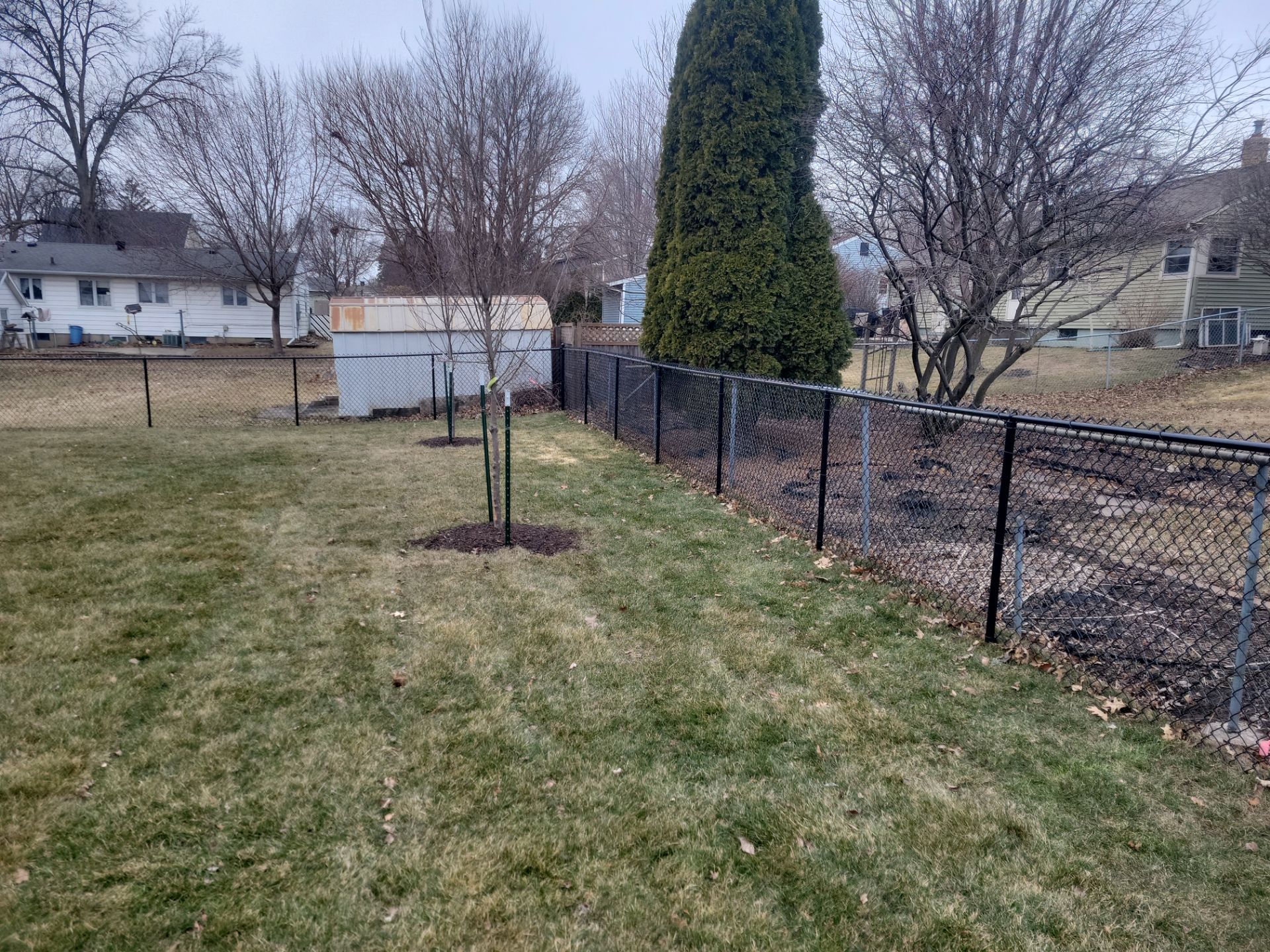 Black Chain Link Backyard Fence and Gate Installation in Cedar Falls by Perfect Picket Fence and Stain