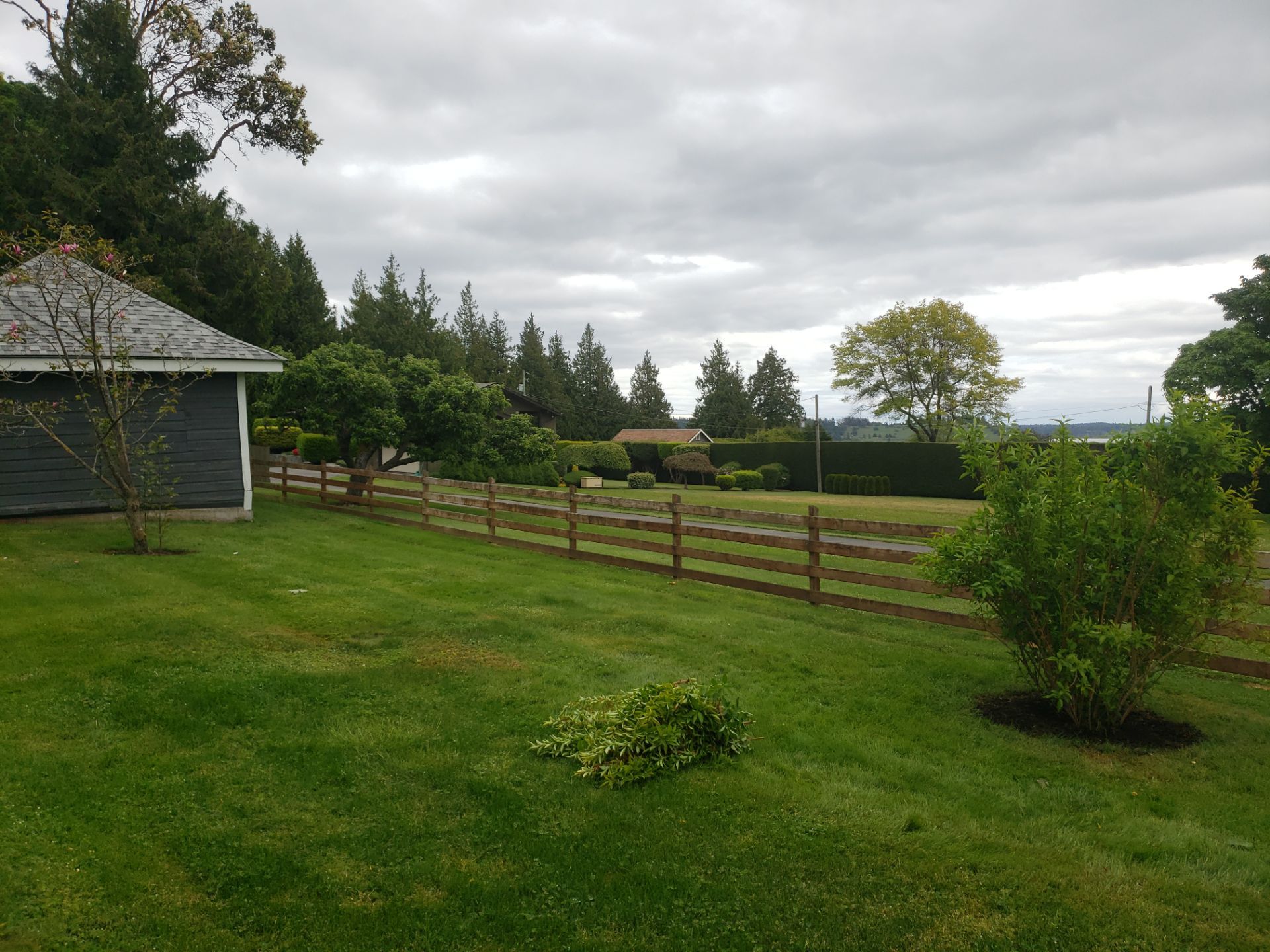 Puppy Love Farm by Habanero Garden and Exterior Care