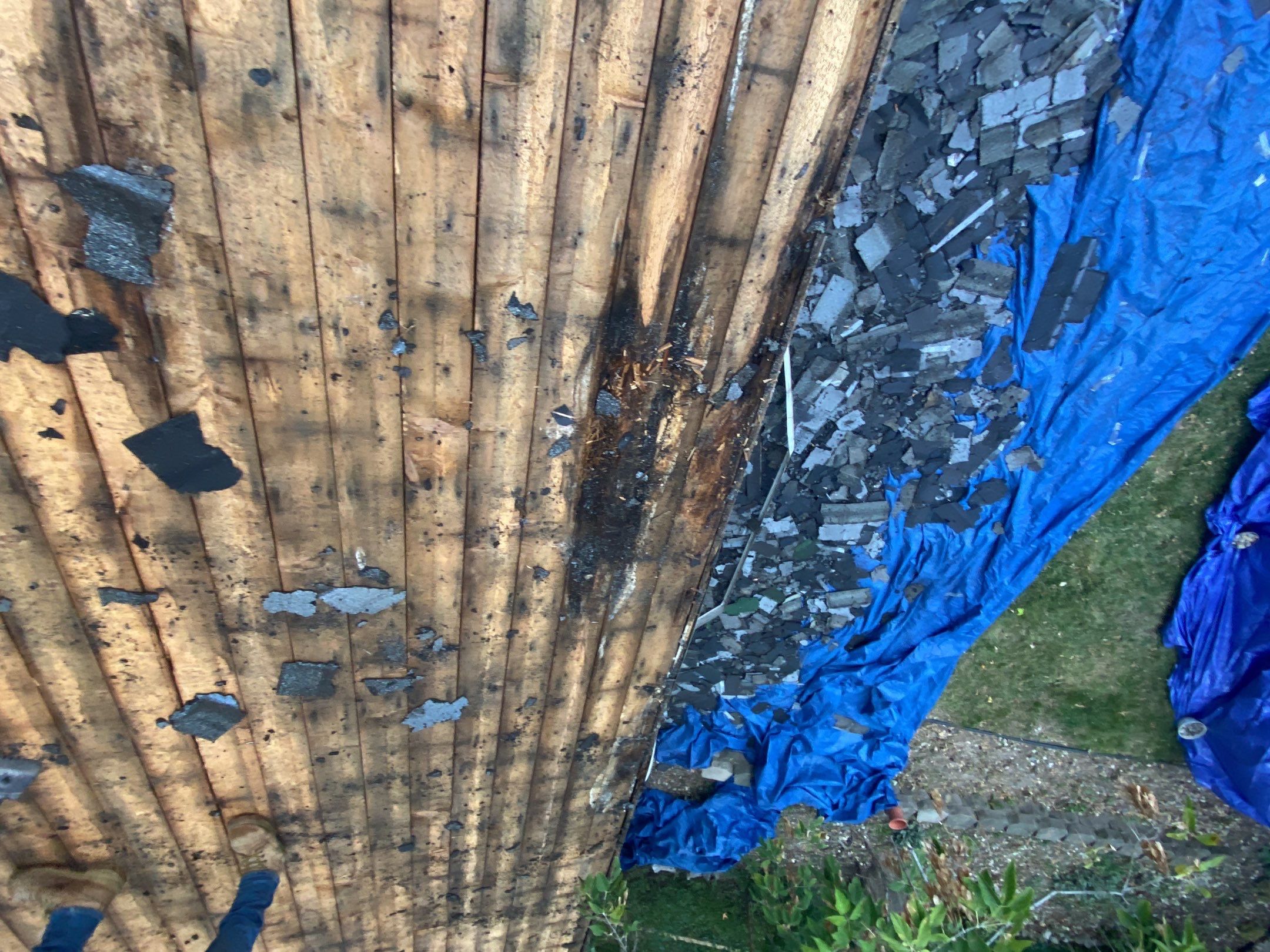 Roof Replacement using CertainTeed Landmark by 180 Contractors