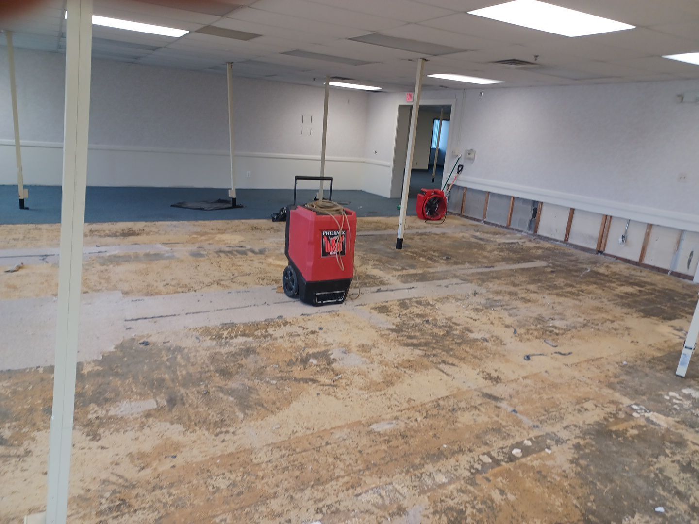 Project in Warren by EzDry Water Mitigation & Property Restoration