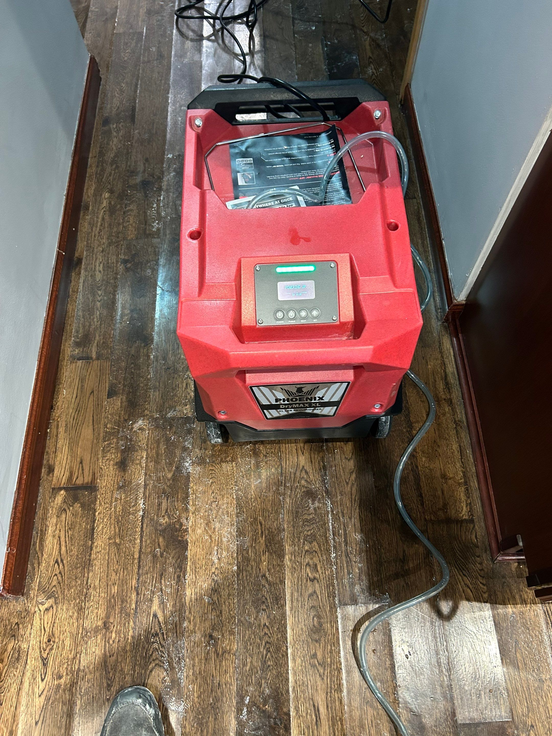 maria aguilera by Unlimited Fire Restoration