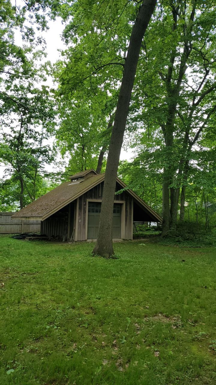 Tree Trimming using Tree Pruing by Mike Jones & Sons Tree Service LLC 