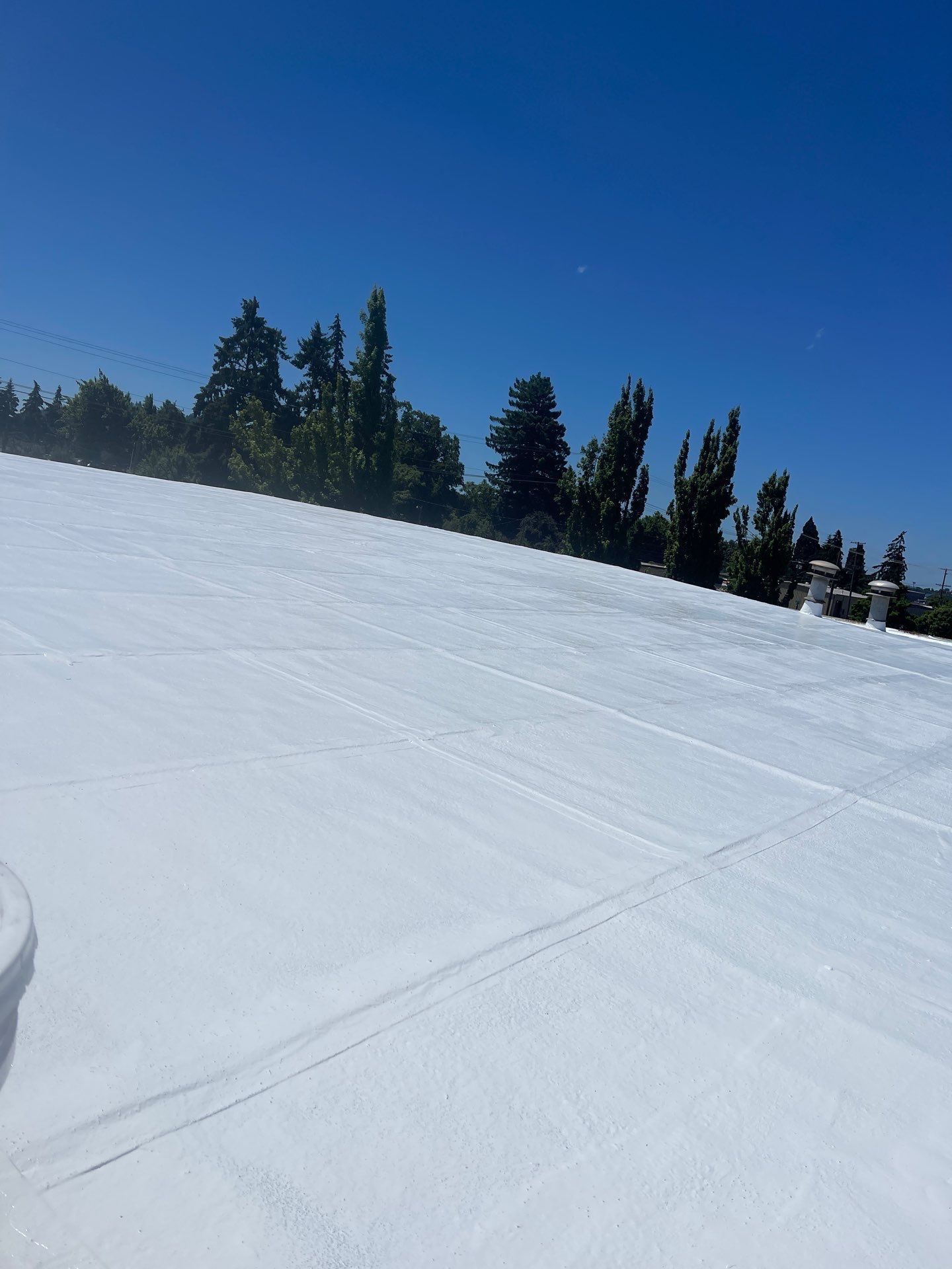 Commercial Roof Restoration and White Coating in Springfield by BEST Roofing & Waterproofing