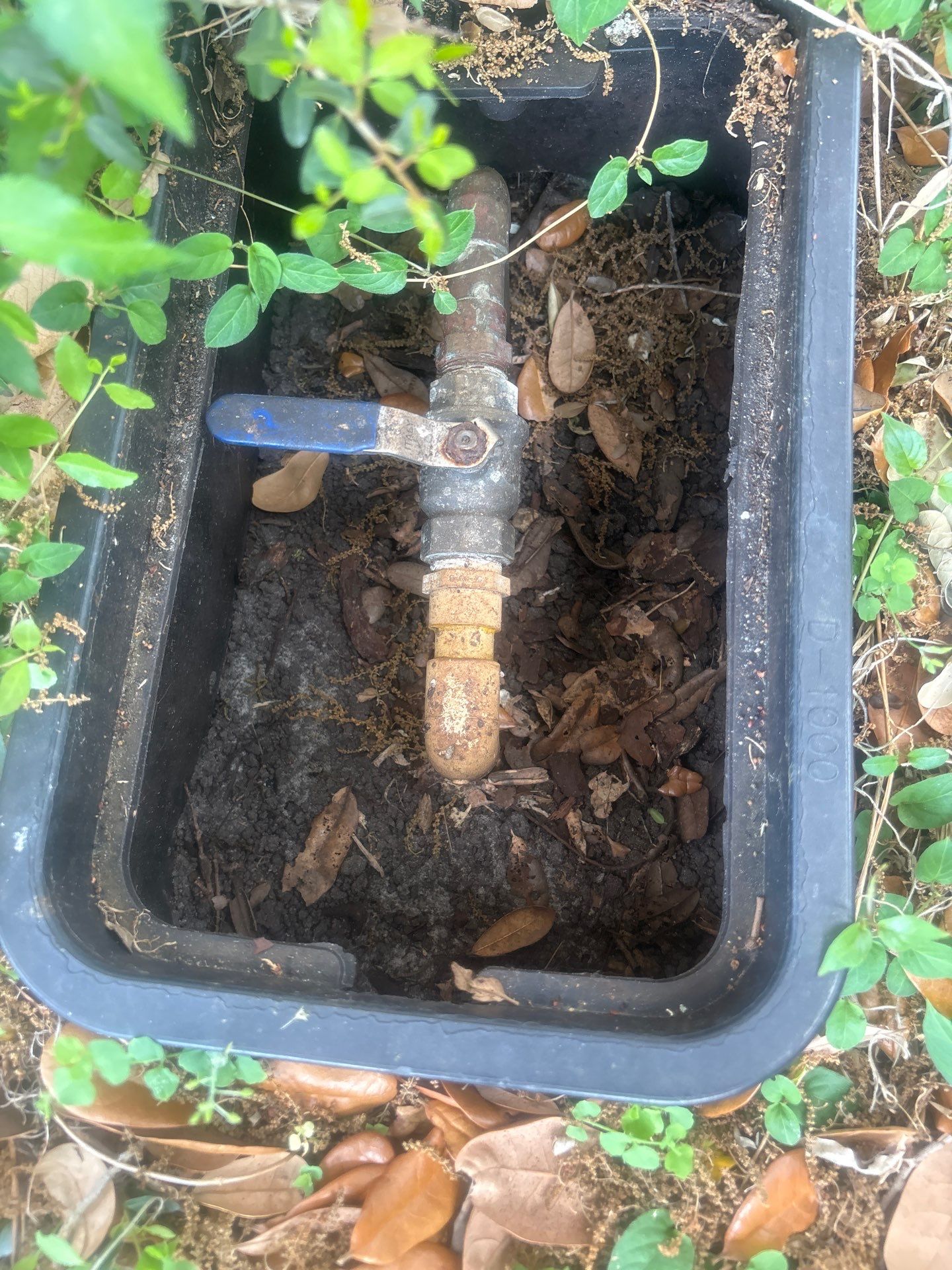 Shower Valve Replacement and Plumbing Hardware Update in Tampa by All Hours Plumber