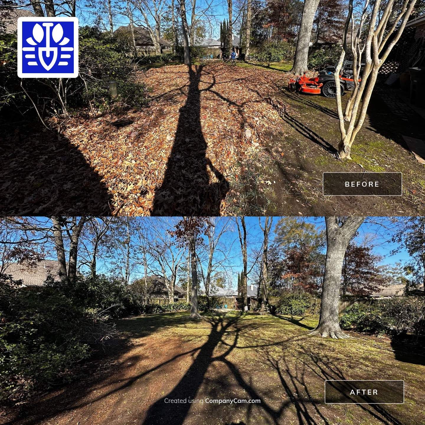WINTER SERVICES: FULL LEAF JOB by CutScape, LLC.