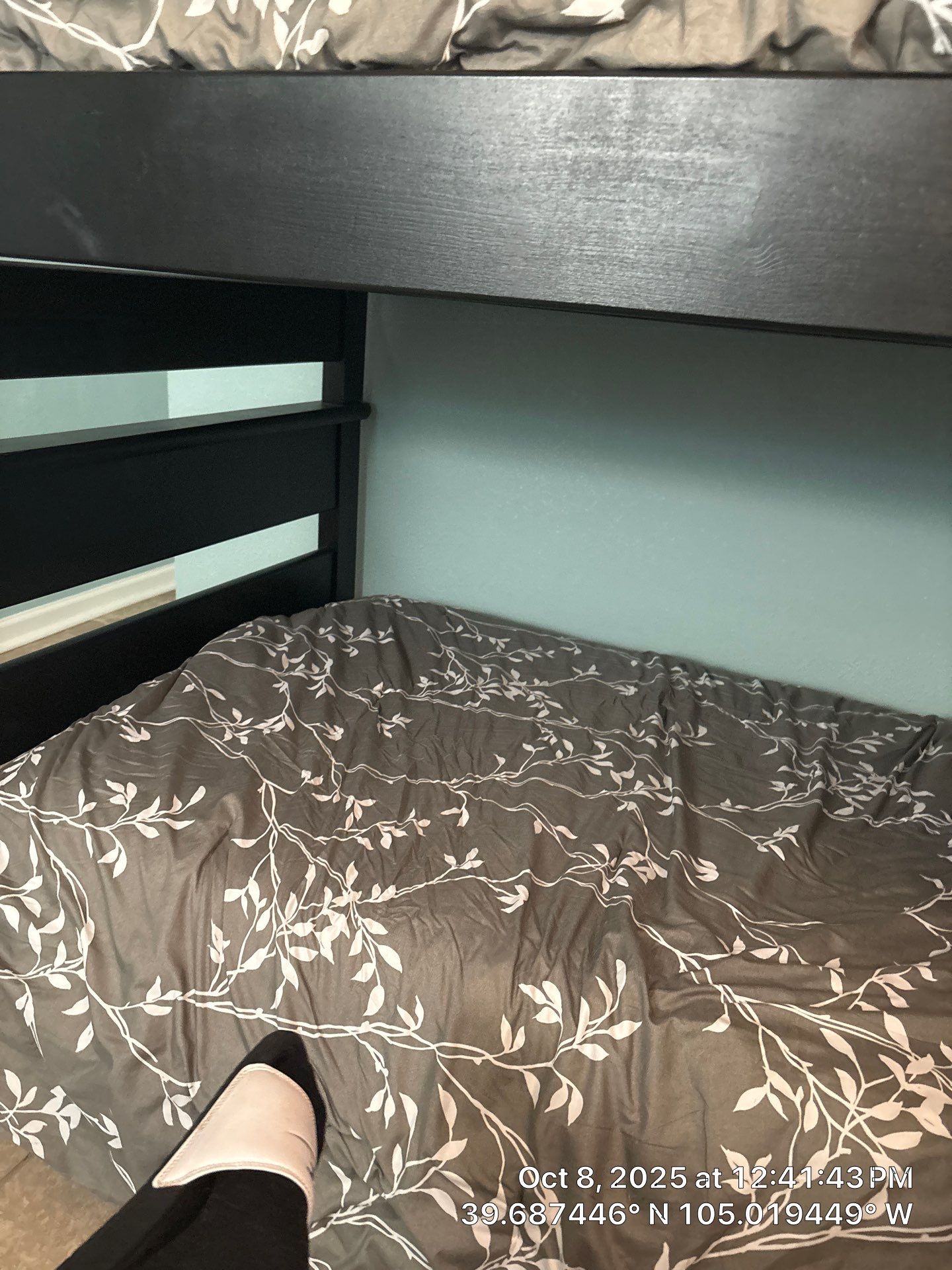 Joness Backyard by CompanyCam Sales Demo