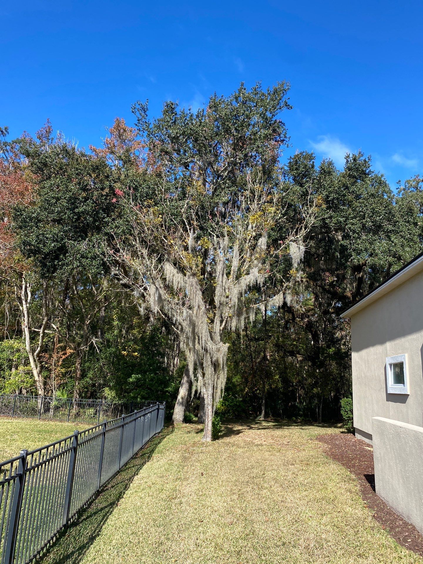 Residential | Tree Service by ProGreen Services