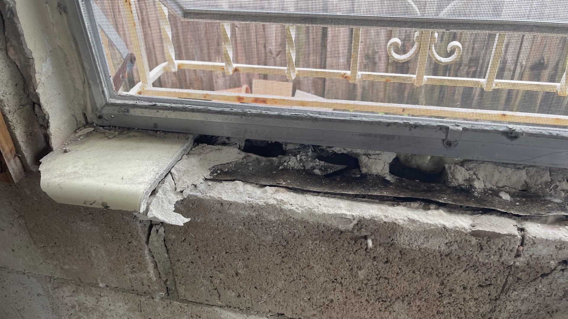 Mold Remediation  by THE RAPID TEAM