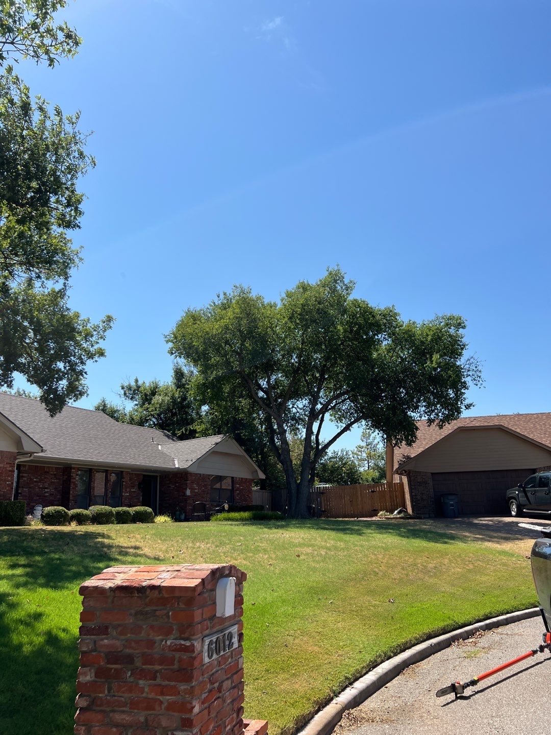 Tree Removals by Clays Services Inc