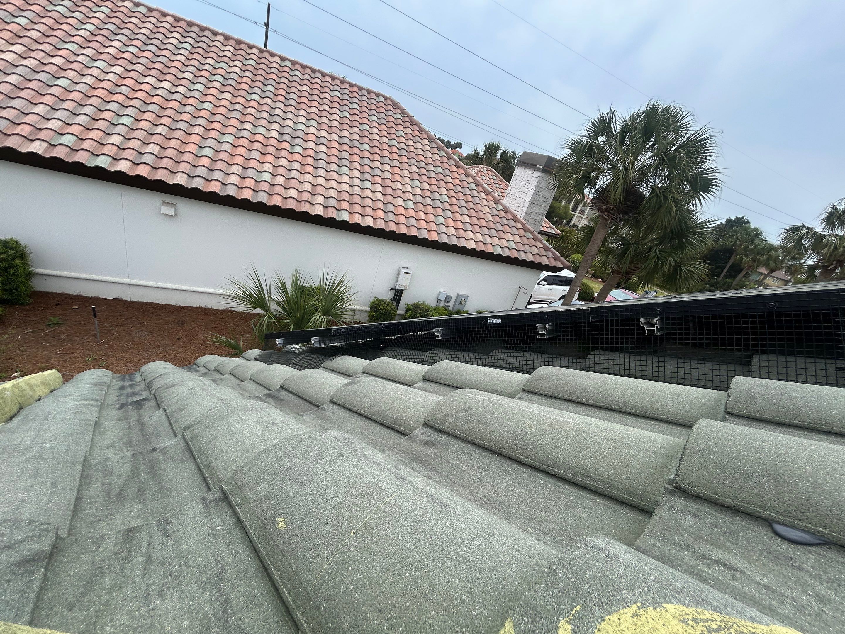 Solar Squirrel Defense System Installation by Gulf Solar Services