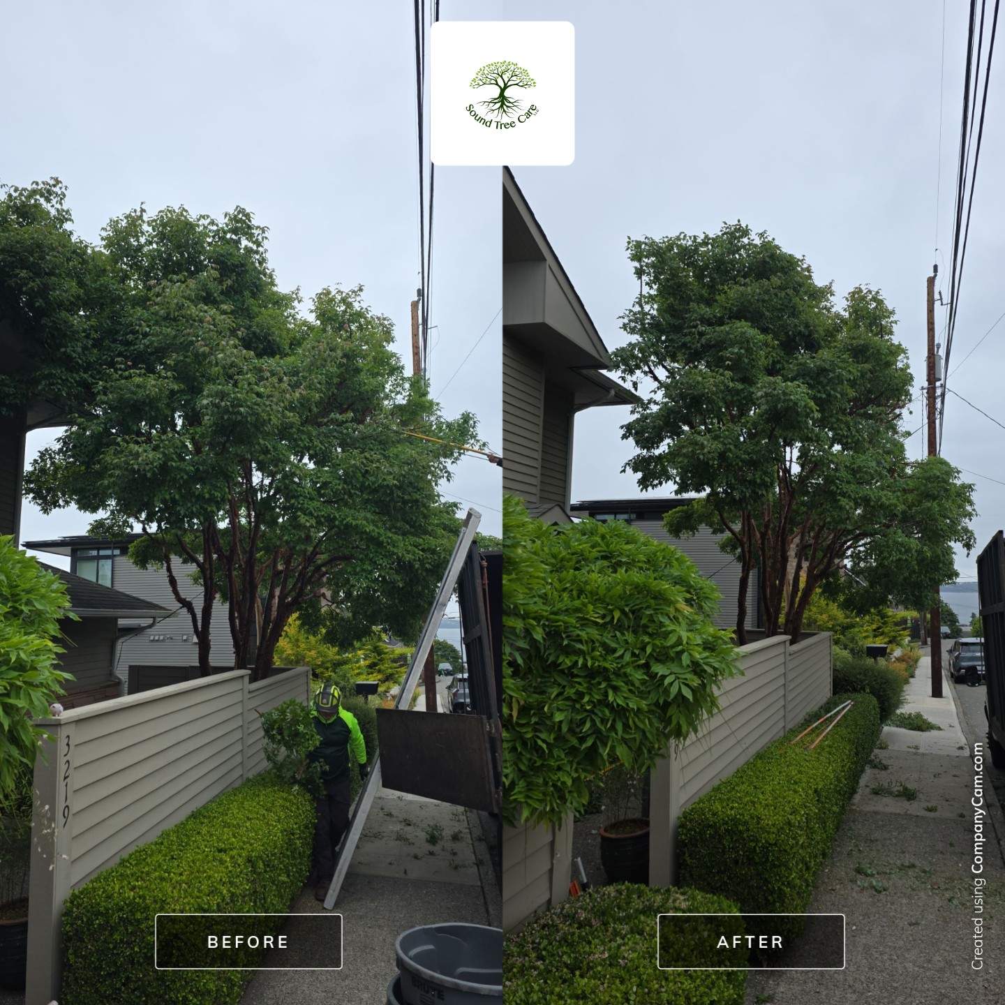🌲✂️Building Clearance & Precision Hedge Trimming by Sound Tree Care LLC