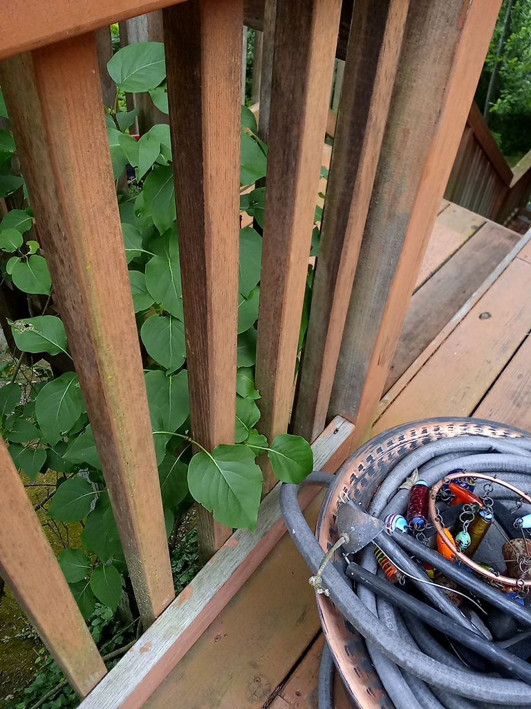 Deck Restoration using Armstrong-Clark Semi-Transparent Cedar 97229 by Paul Schopp