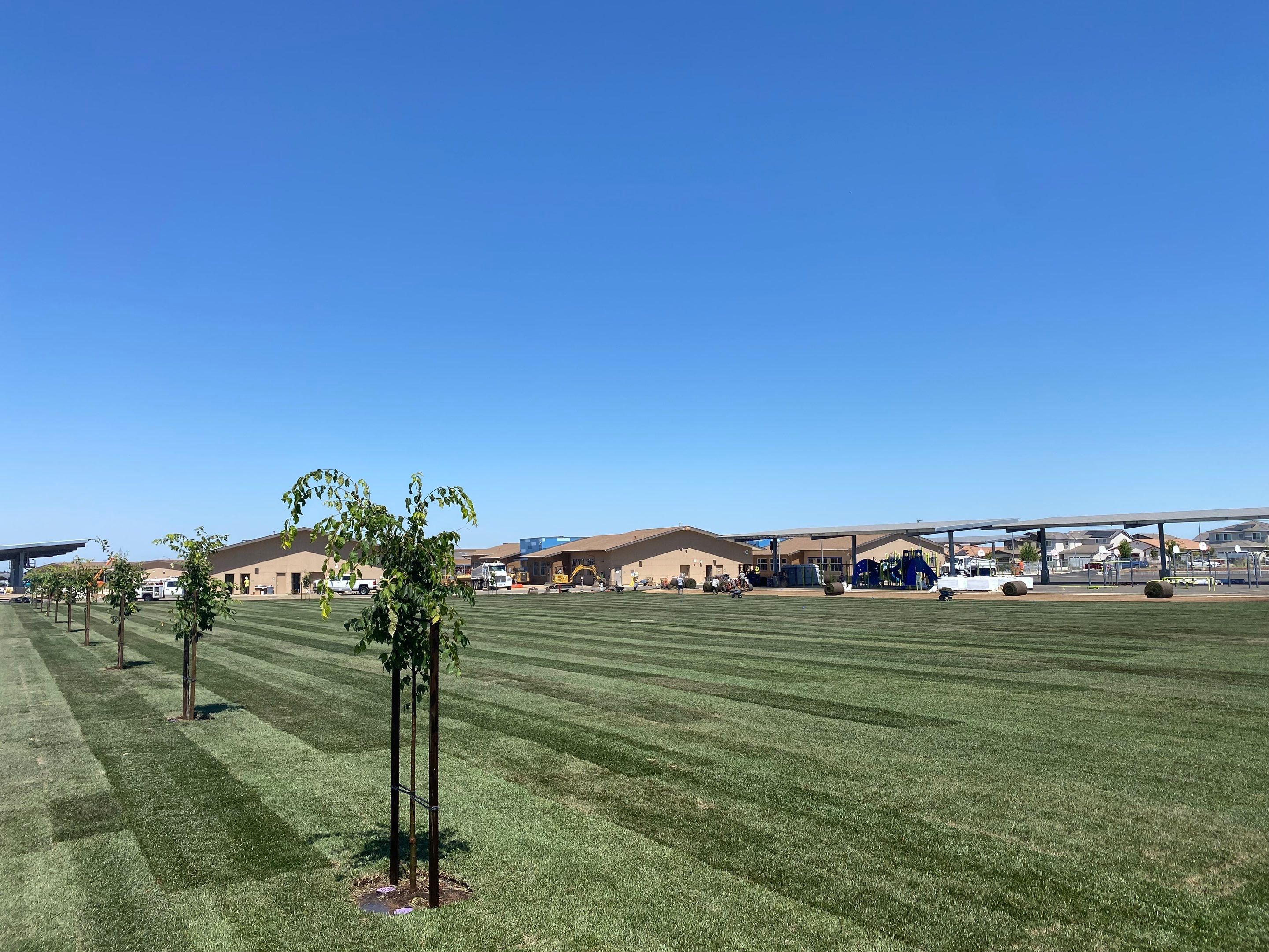 Project in Rancho Cordova by A - G Sod Farms