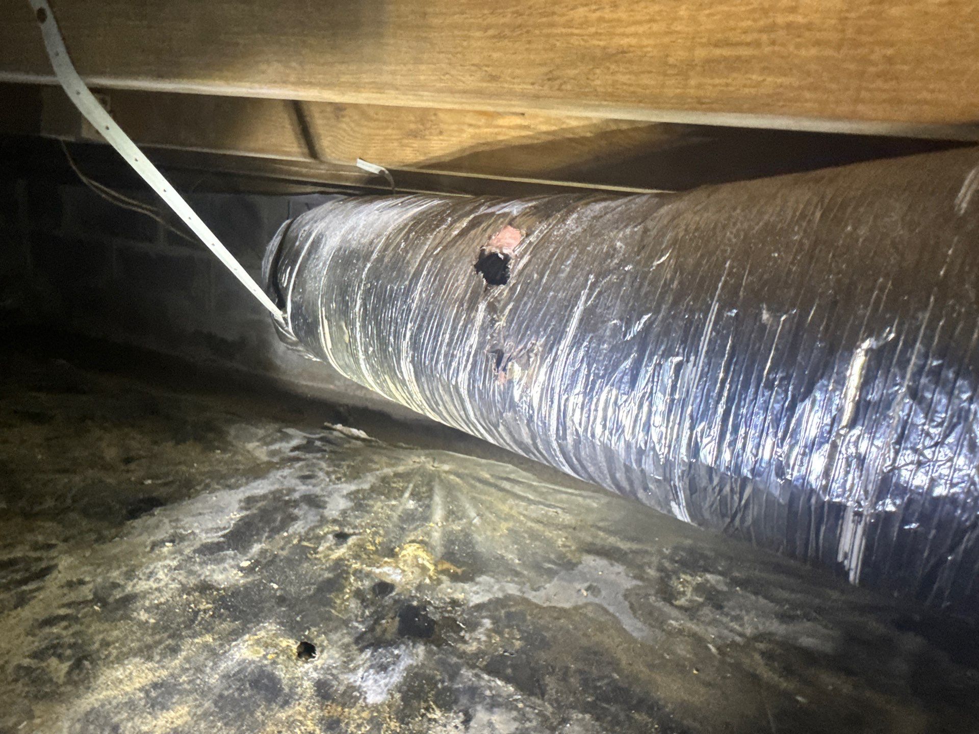 Project in Carrsville by Patriot Crawl Space Repairs