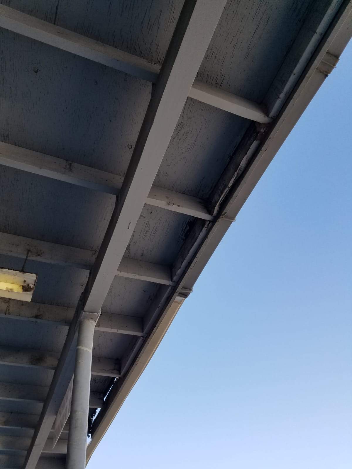 Spray foam and coatings using Conklin Benchmark/PUMA XL coatings and spray foam by Straight Edge Roofing Inc