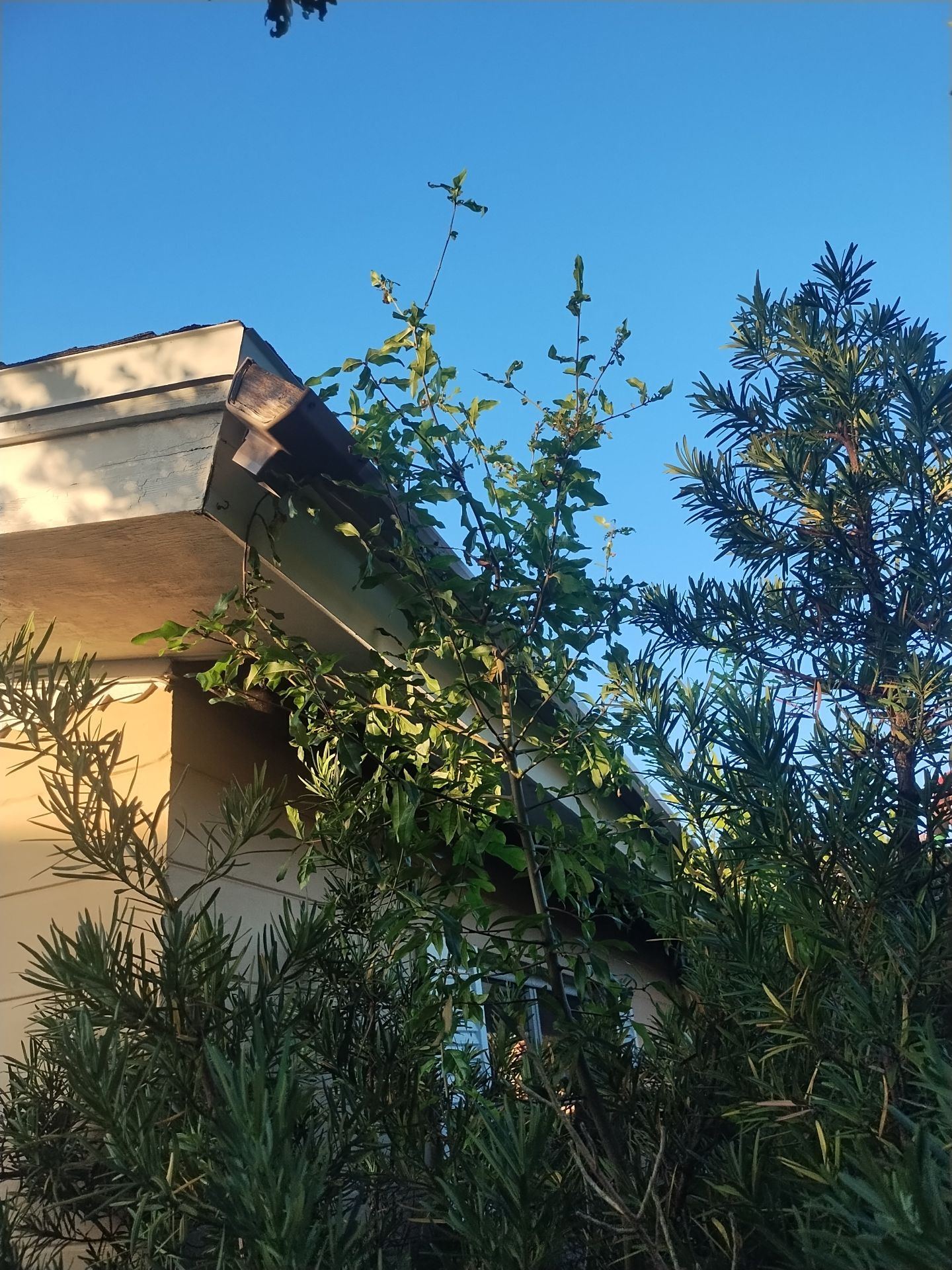 Project in St. Petersburg 33710 by Mitchell Roofing Company LLC 