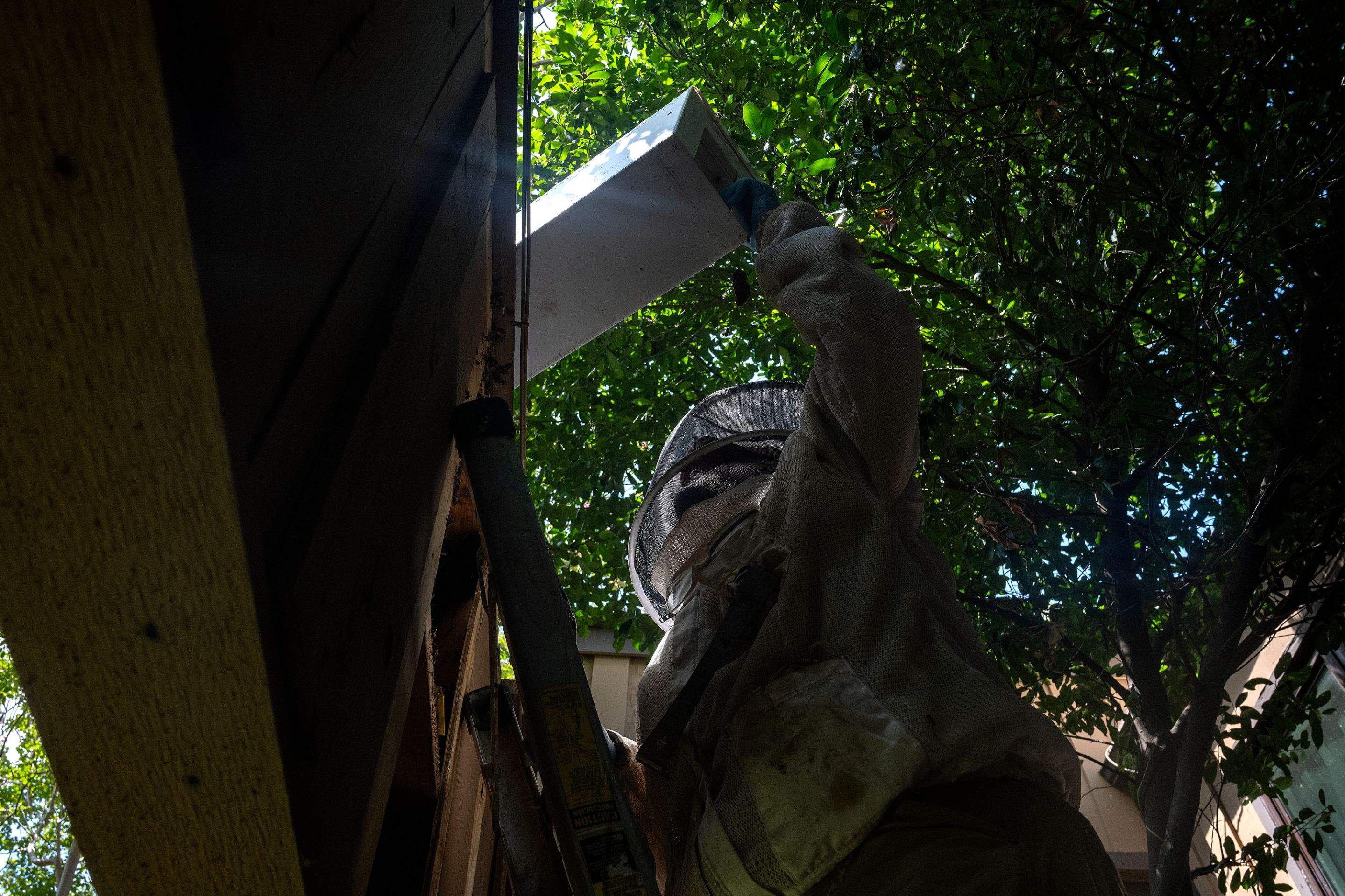 Condo Patio by Rockwall Honey Bee Company