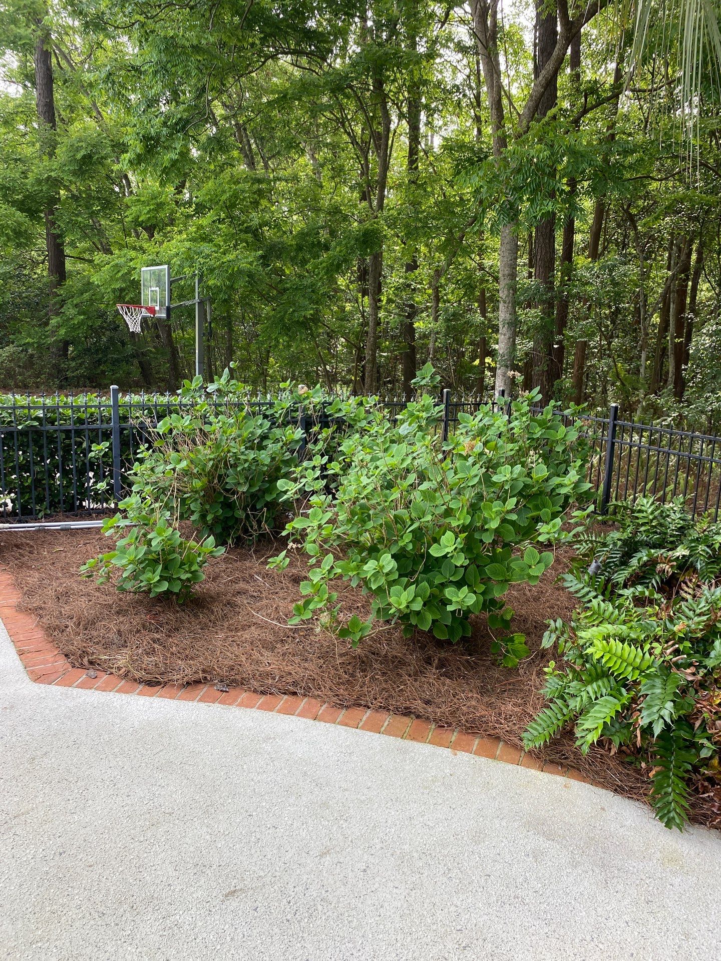 Deerwood Resident | Pine Straw Installation by ProGreen Services