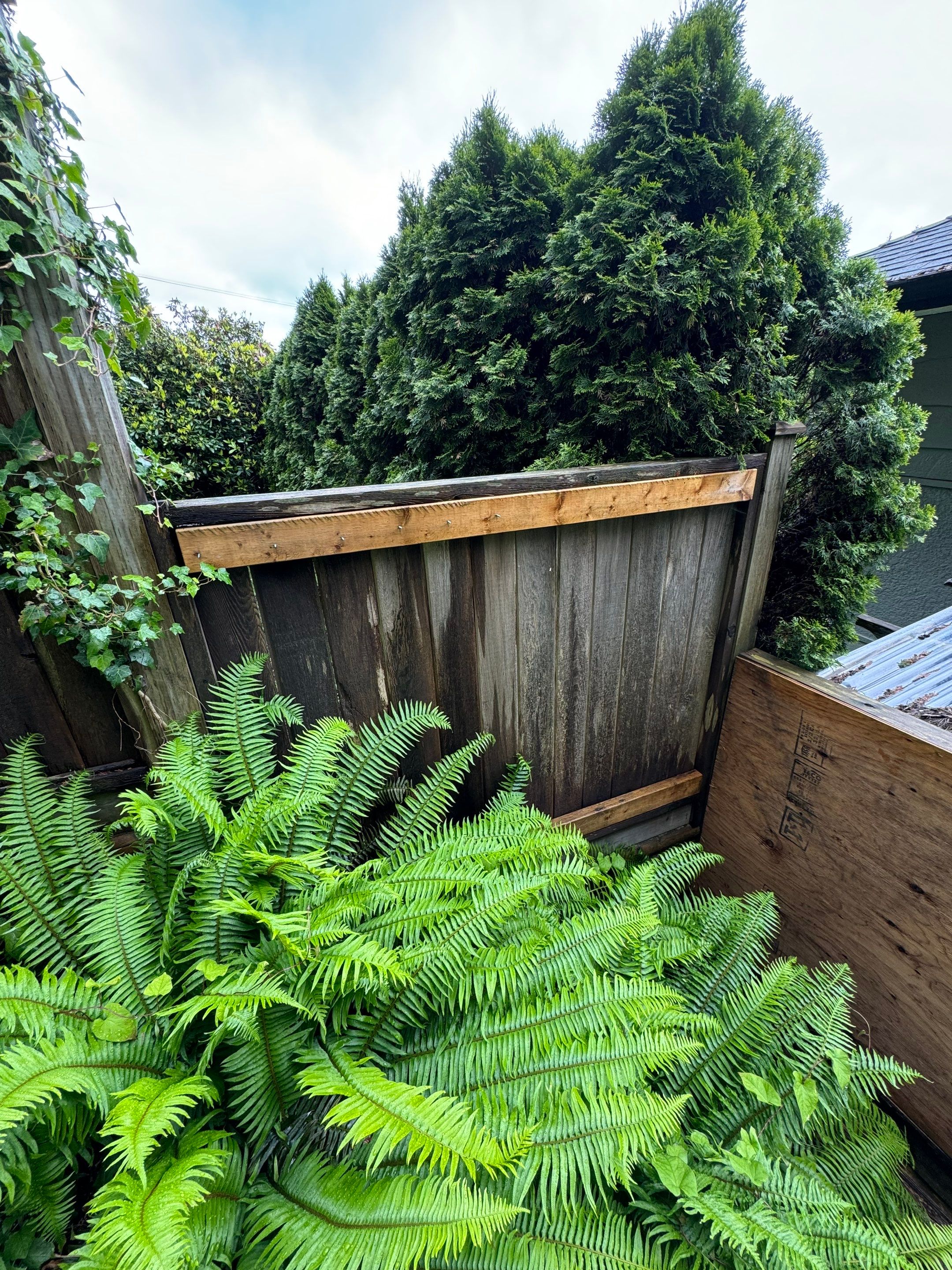 New Fence Installation - Edgemont Village by YVR Construction Group