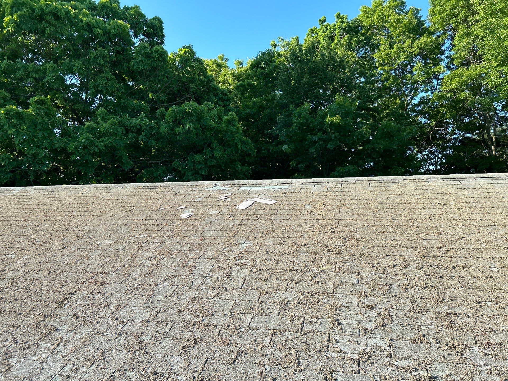 Residential Roofing Installation using Certainteed  by 757 EXTERIORS INC