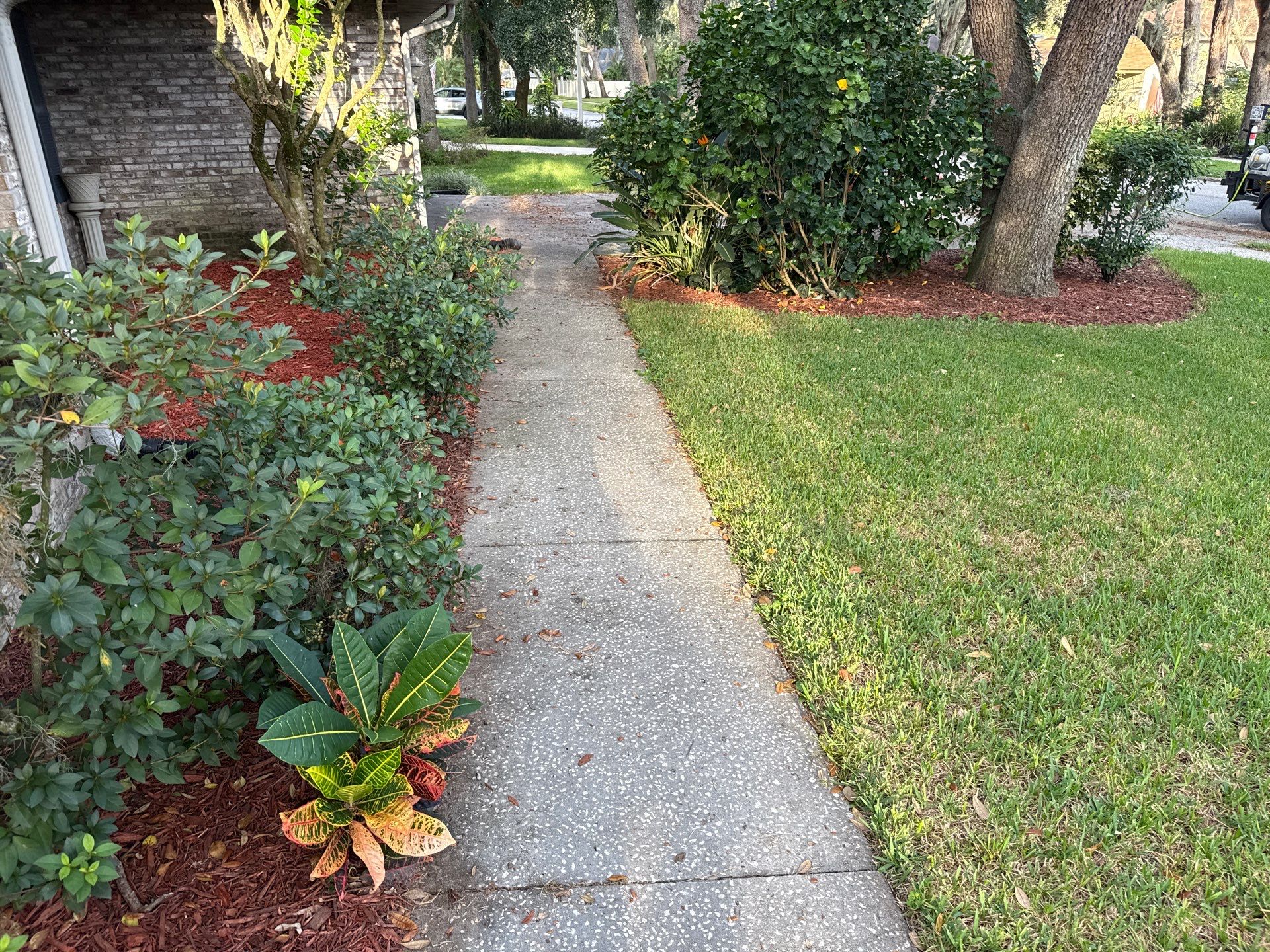 Concrete Driveway & Sidewalk Cleaning in Valrico, FL by Sunshine AquaWash