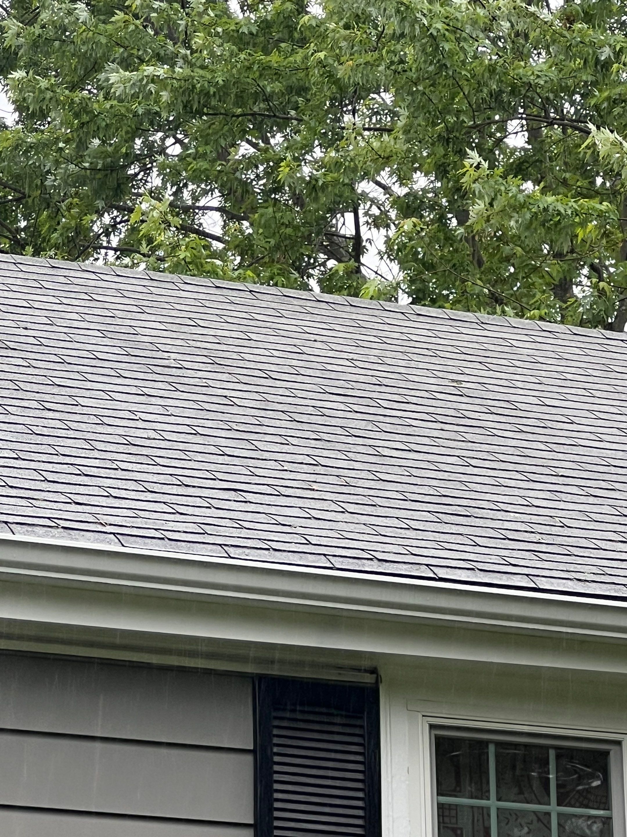 Complete Roof Replacement with Ventilation Upgrade by Mighty Dog Roofing of Greater Middlesex County