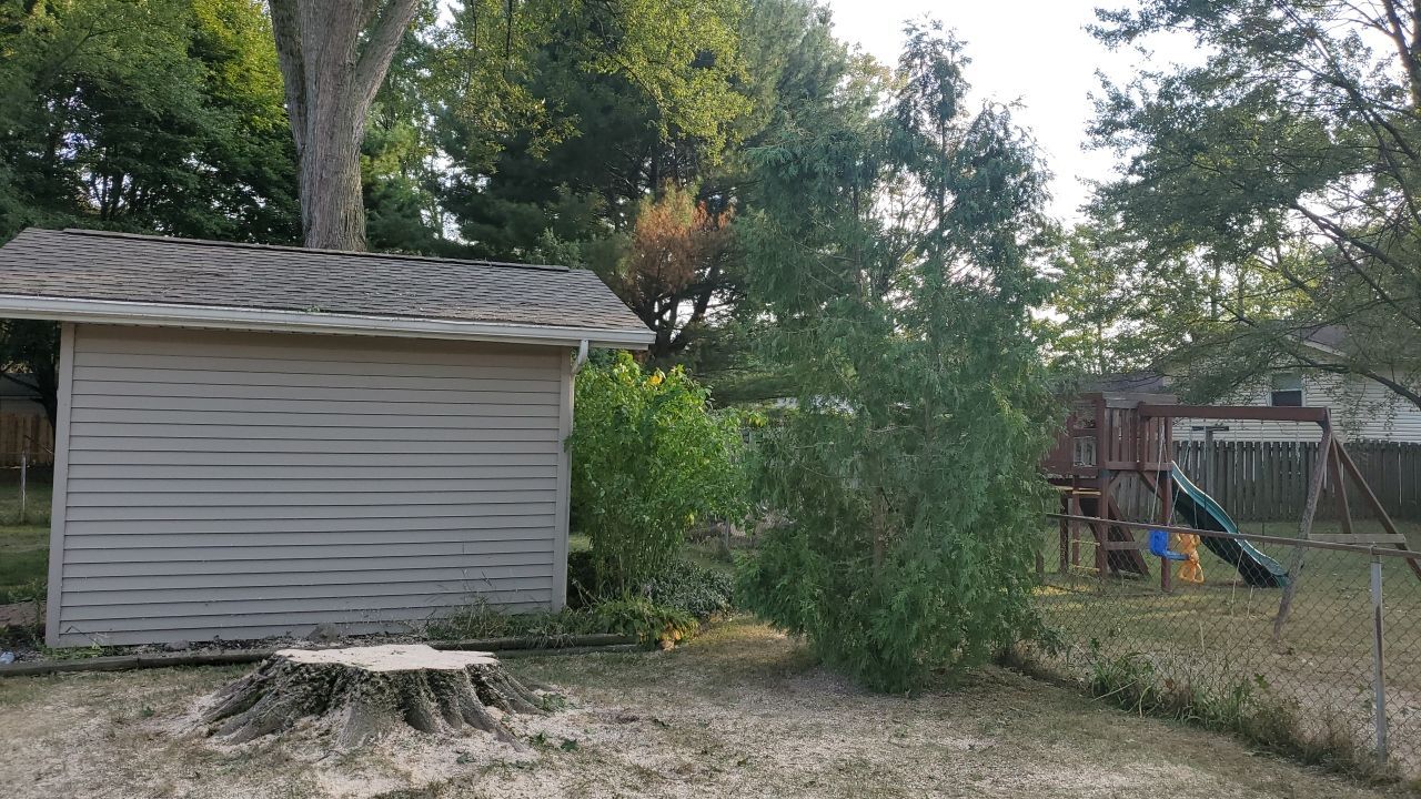 Oak Tree Removal by Mike Jones & Sons Tree Service LLC 