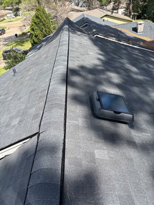 Spring Roof Install