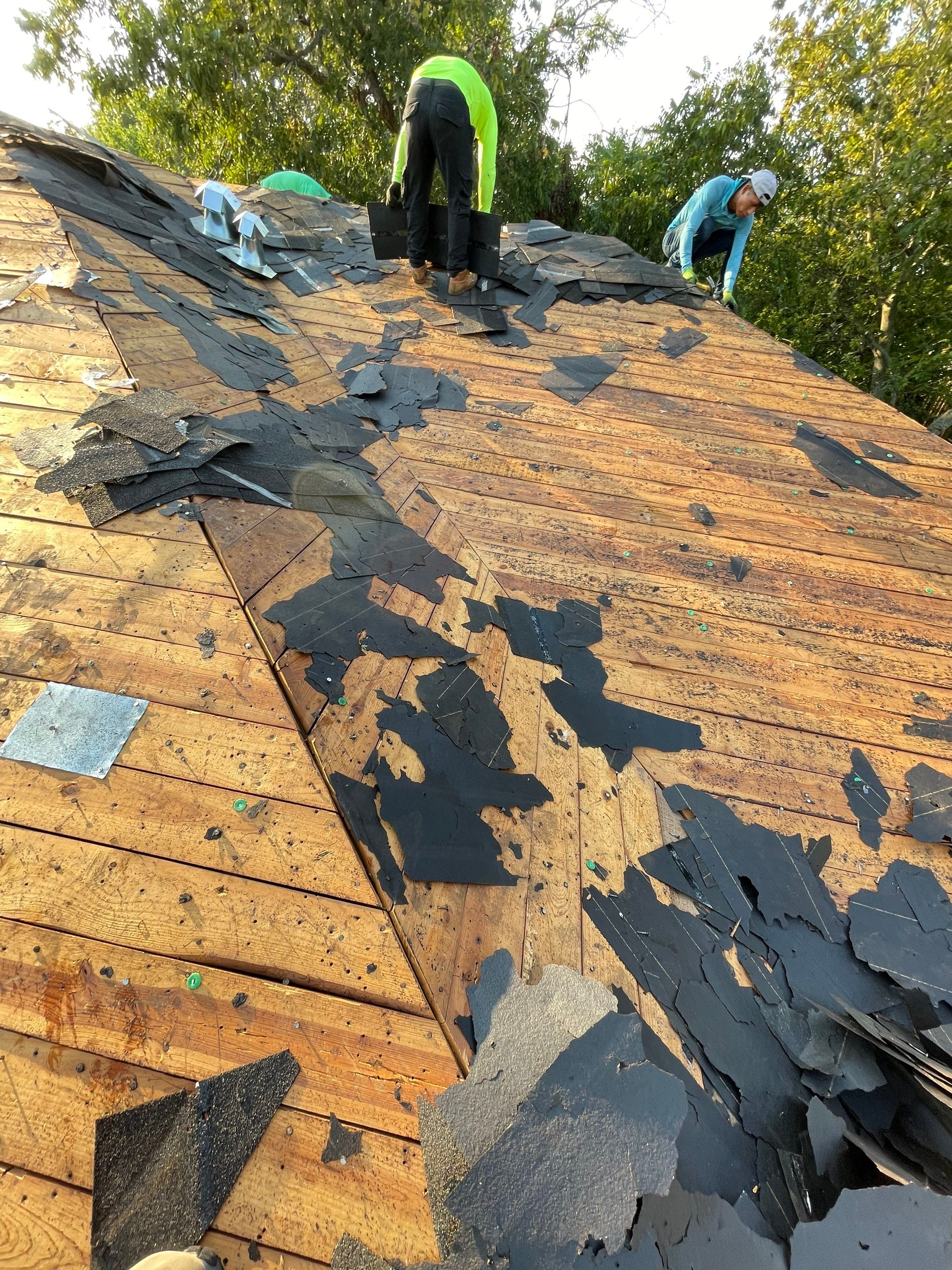 Residential Roofing Installation using Atlas Pinnacle® Pristine Pewter by CAP Roofing and Construction LLC