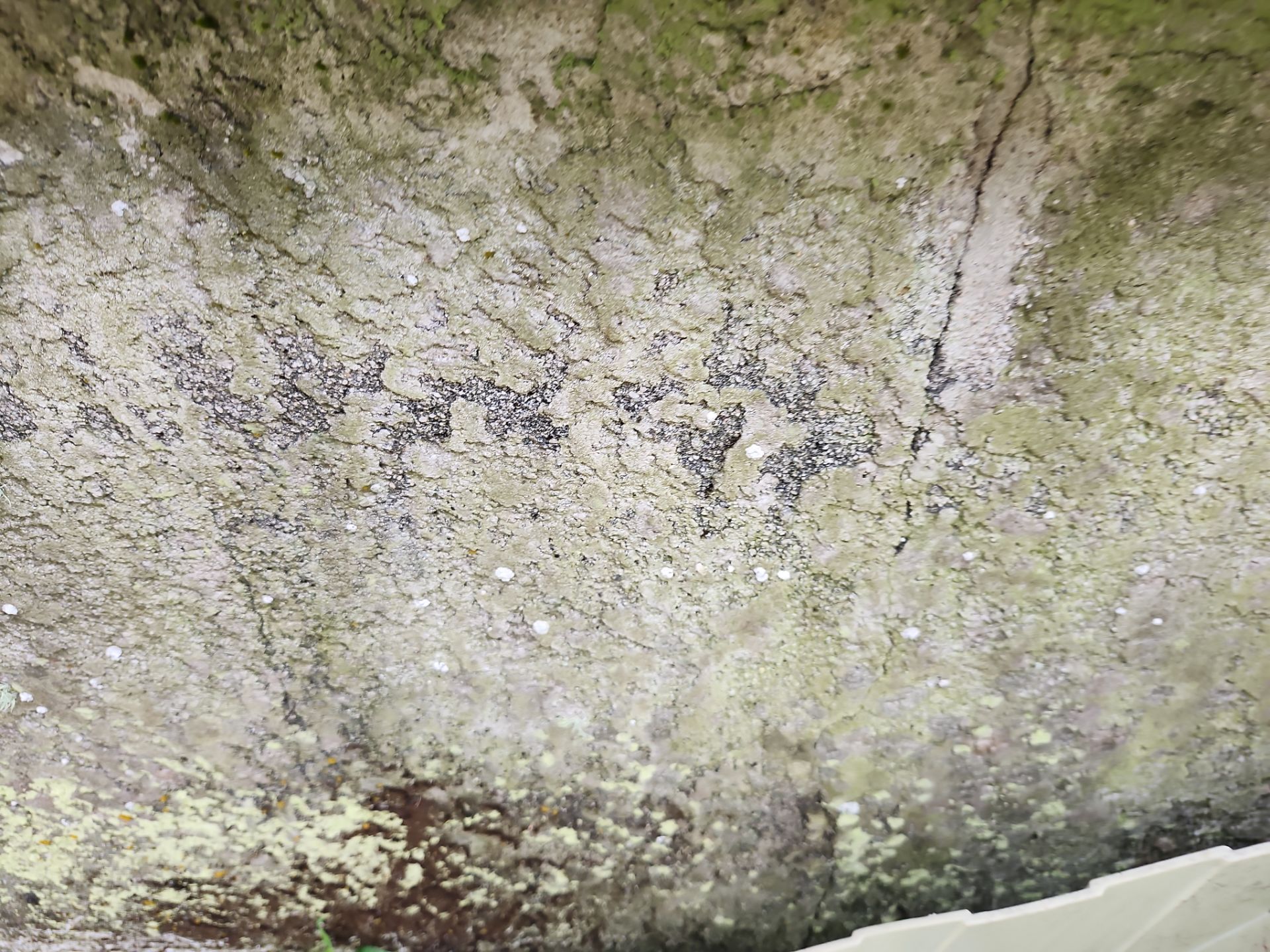 Project in Riverview by Sunbelt Home Solutions