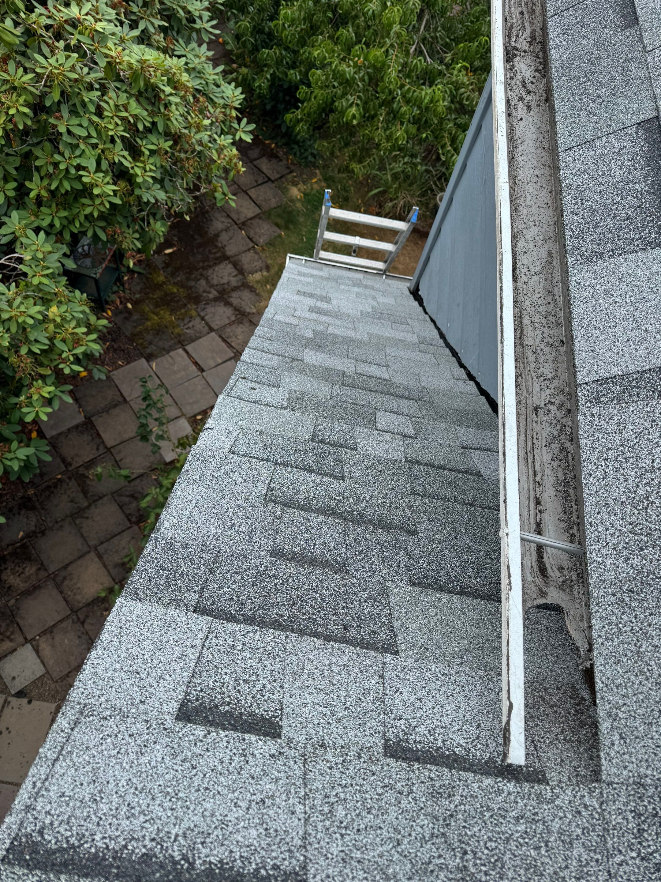 Project in Portland by Tom Leach Roofing