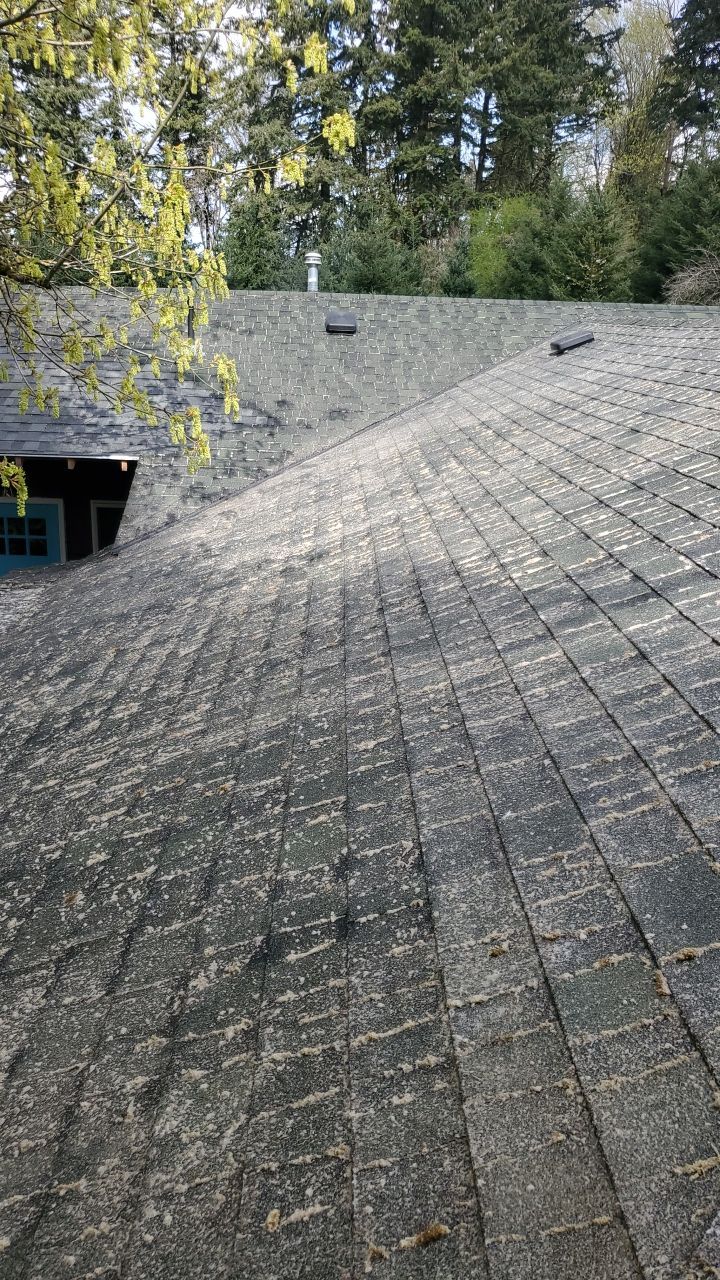 Roof Cleaning Moss Treatment by Willamette Outdoor Wash LLC