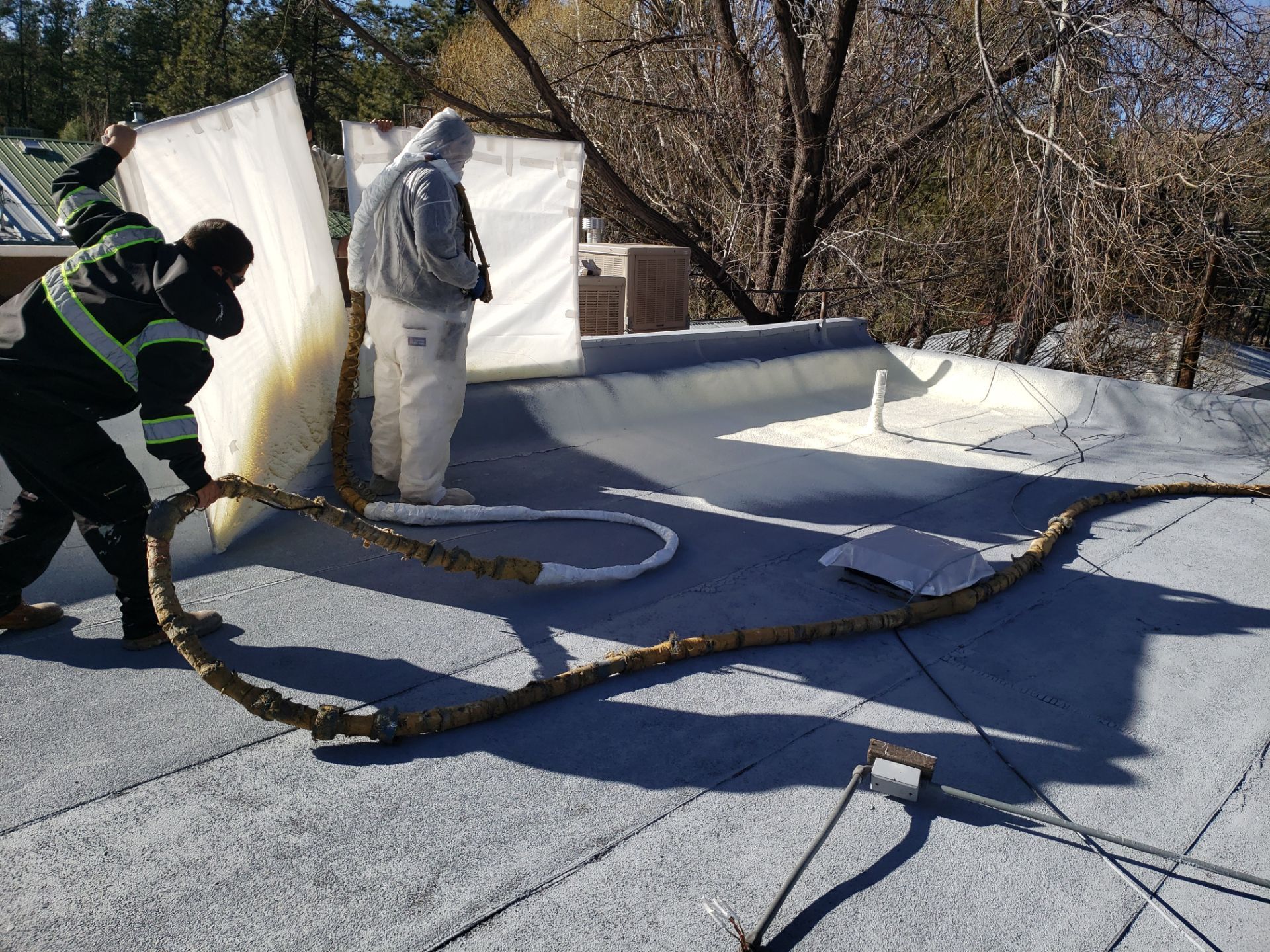 3M Cattle Co Roof by SPF Services