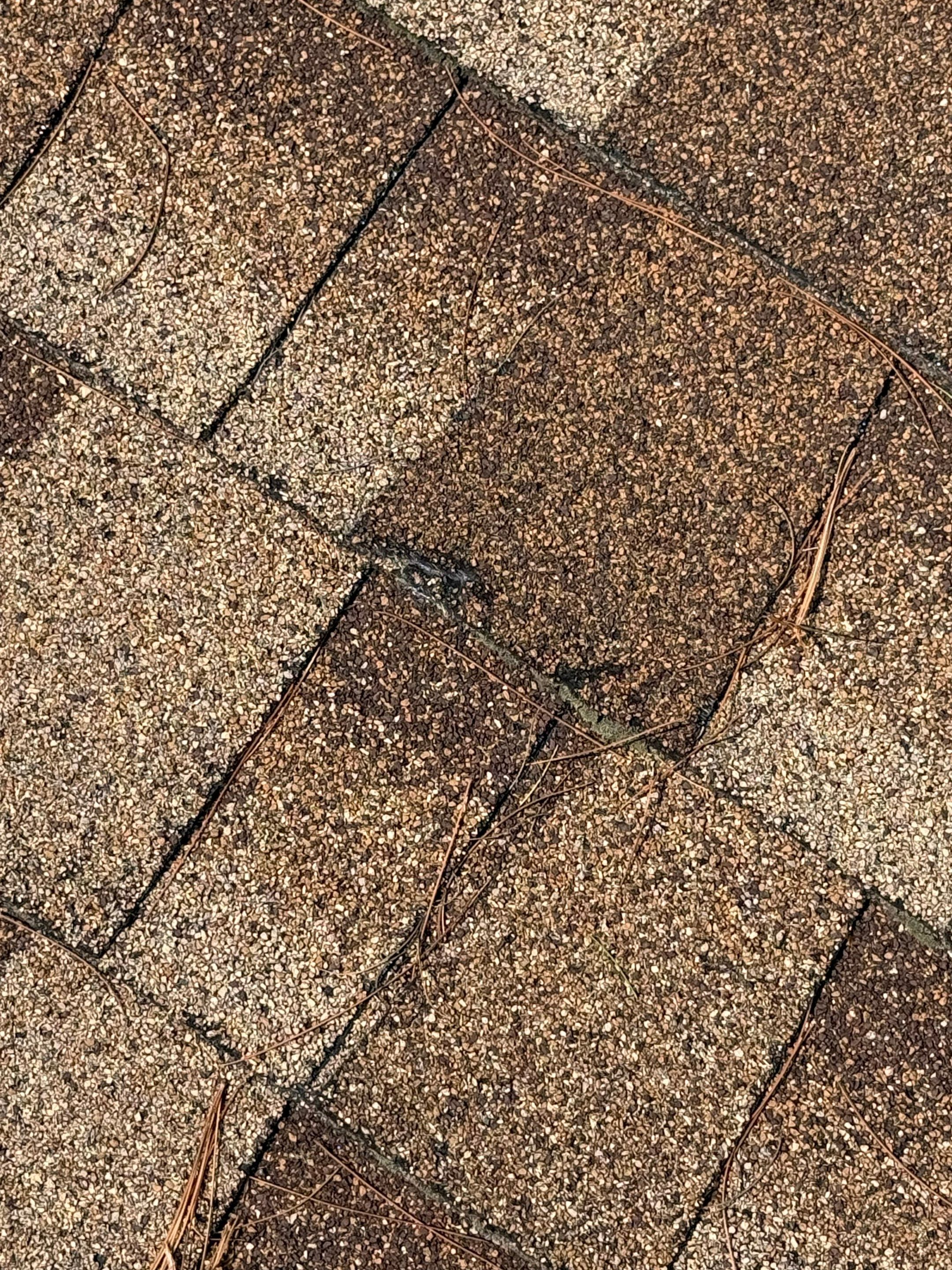 Roof Replacement & Gutter Installation – Chelmsford, MA by Mighty Dog Roofing of Greater Middlesex County