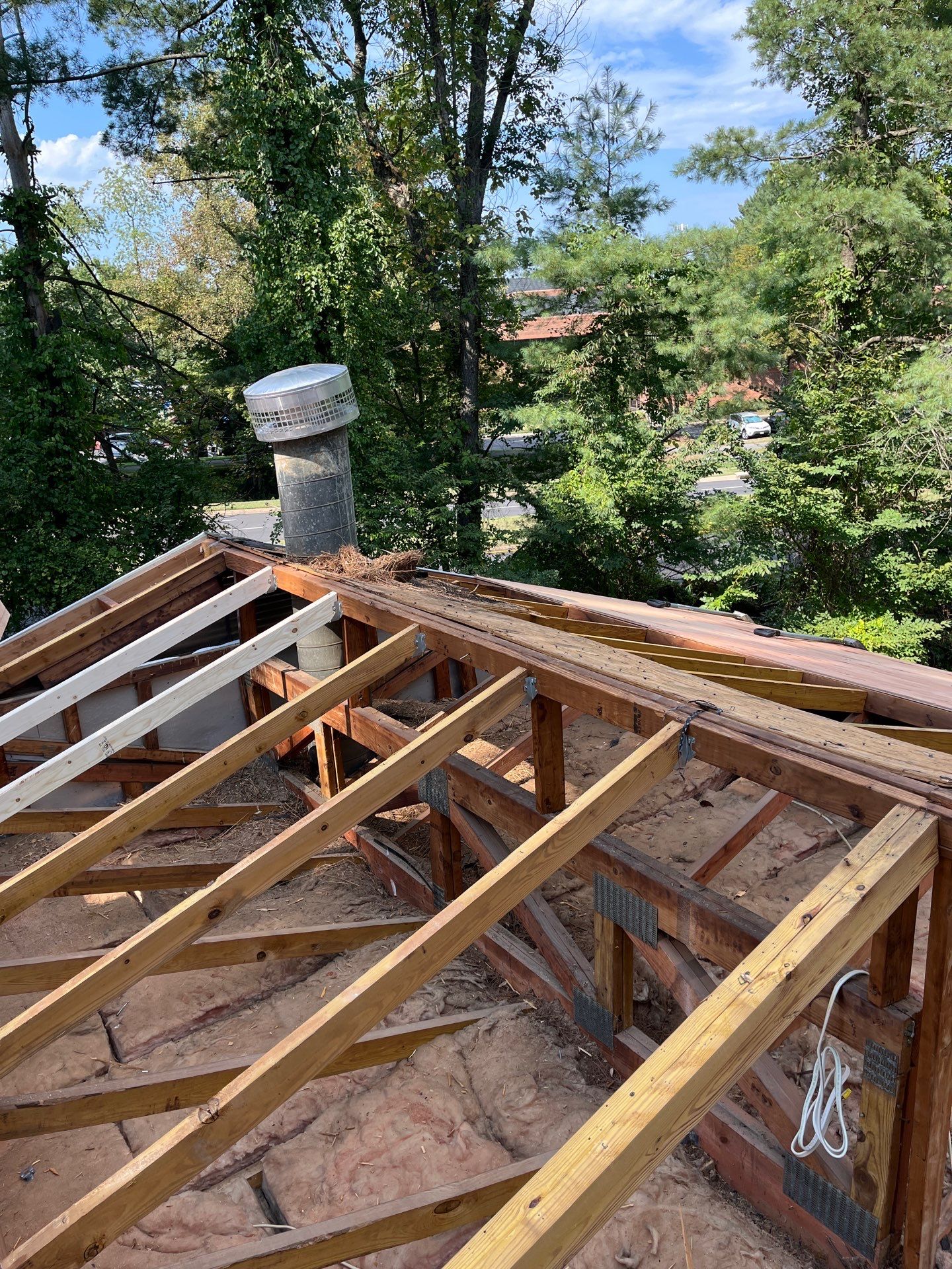 Reston: Roof Replacement with CertainTeed Landmark Pro Designer Shingles in Max Def Moire Black by RM Banning, Inc.