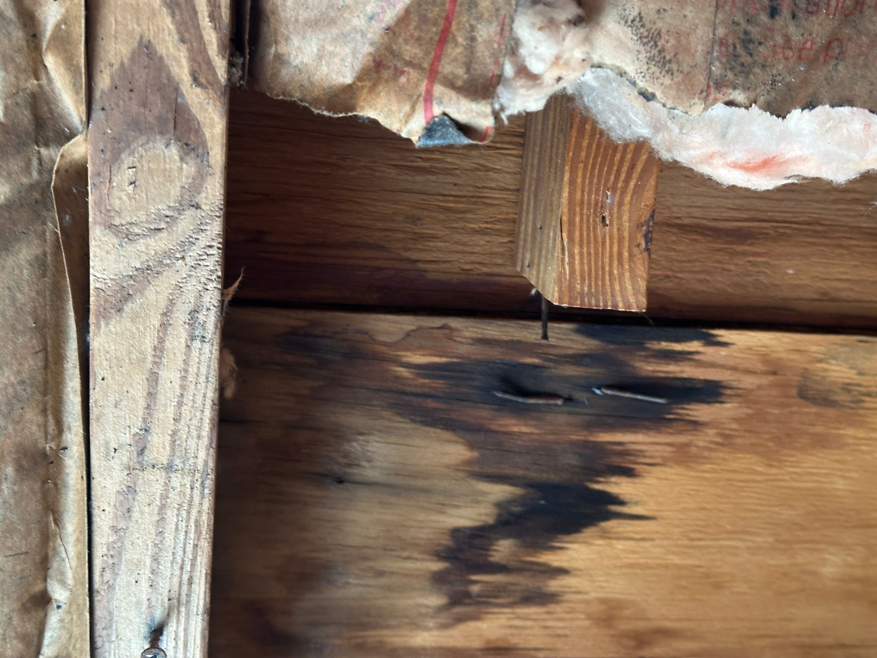 Water Damage Claim in St. Petersburg by FLAPA & KeyStone